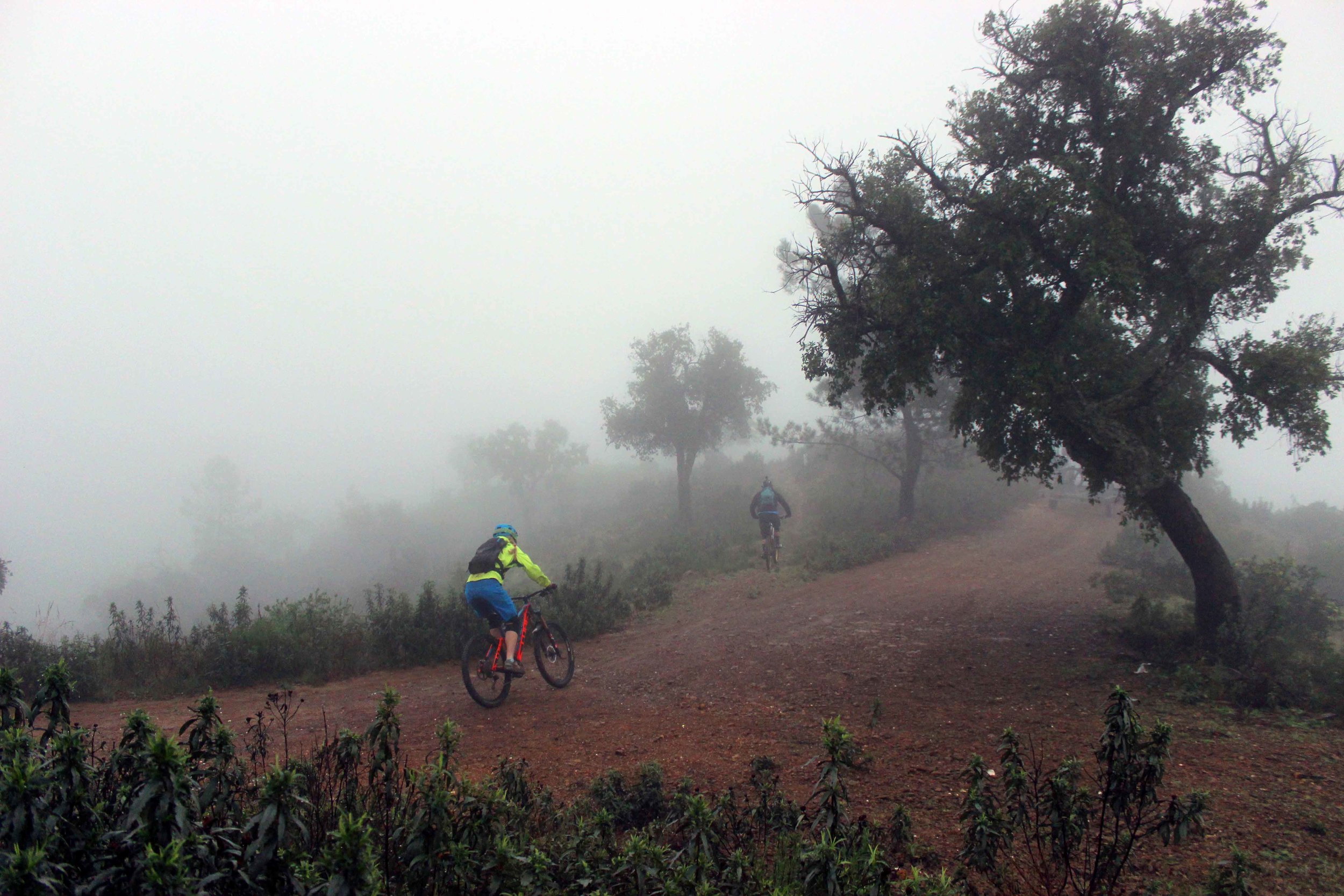 "WERIDE OFFERS PERFECT TRAILS, NATURE, PEOPLE AND A GREAT SERVICE. I WILL BE BACK WITH MY BIKE!" HildeSangesland Strødet