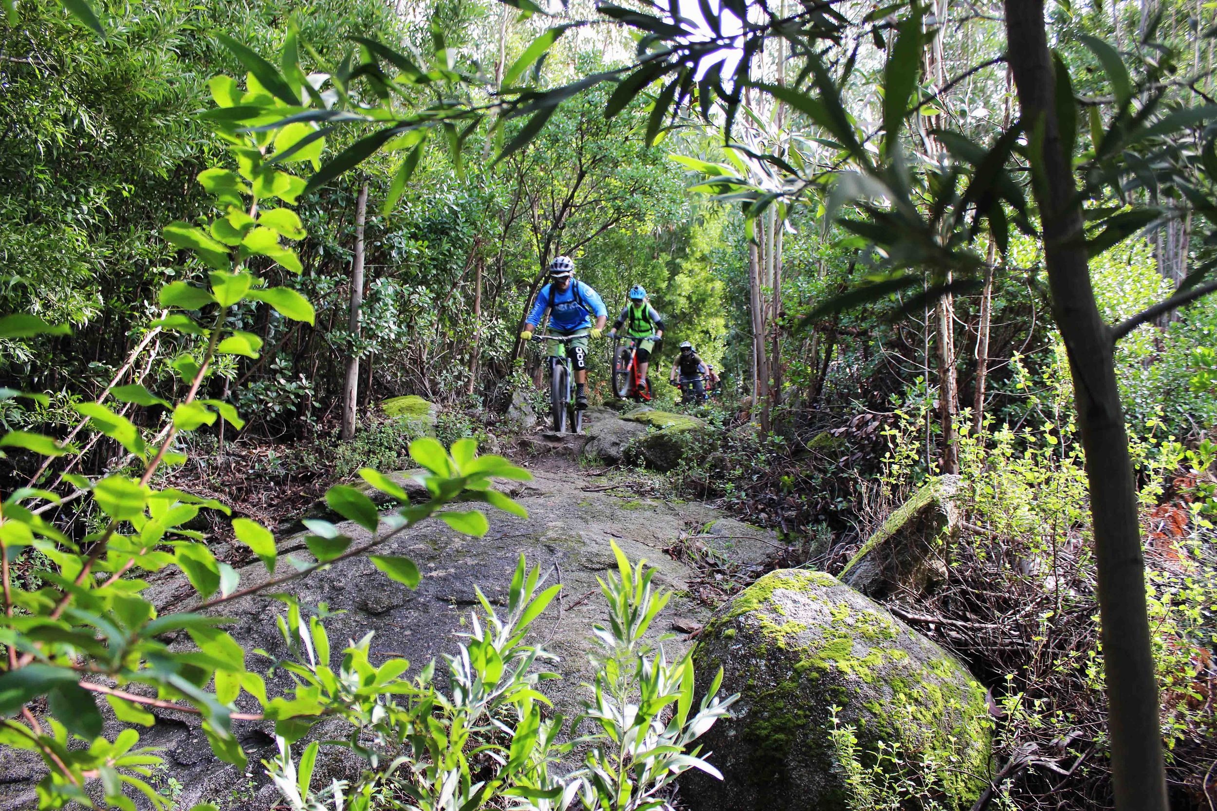 "WERIDE OFFERS PERFECT TRAILS, NATURE, PEOPLE AND A GREAT SERVICE. I WILL BE BACK WITH MY BIKE!" HildeSangesland Strødet