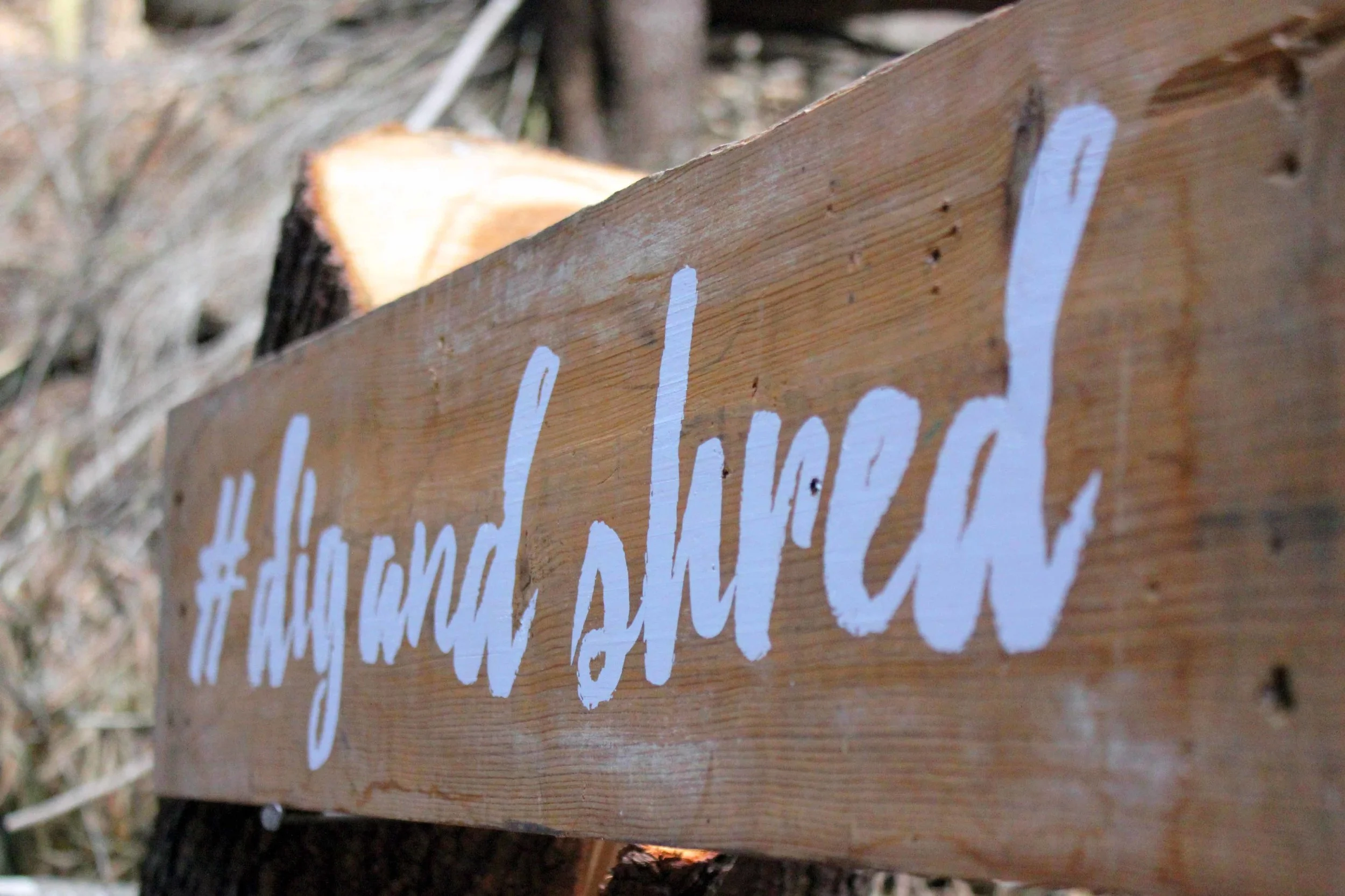 #DIGANDSHRED FOR LUNCH
