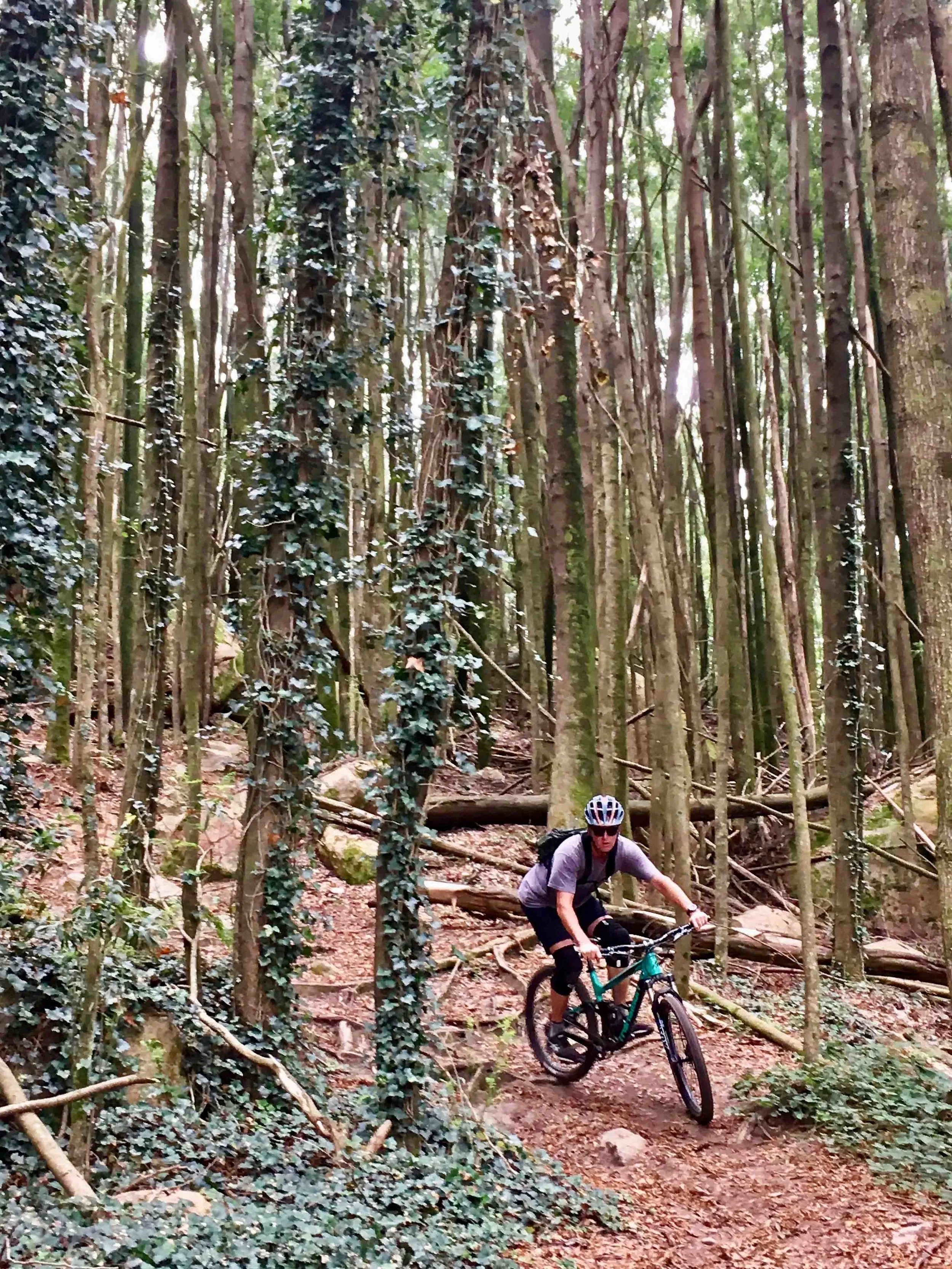 Slalon with trees is always fun!