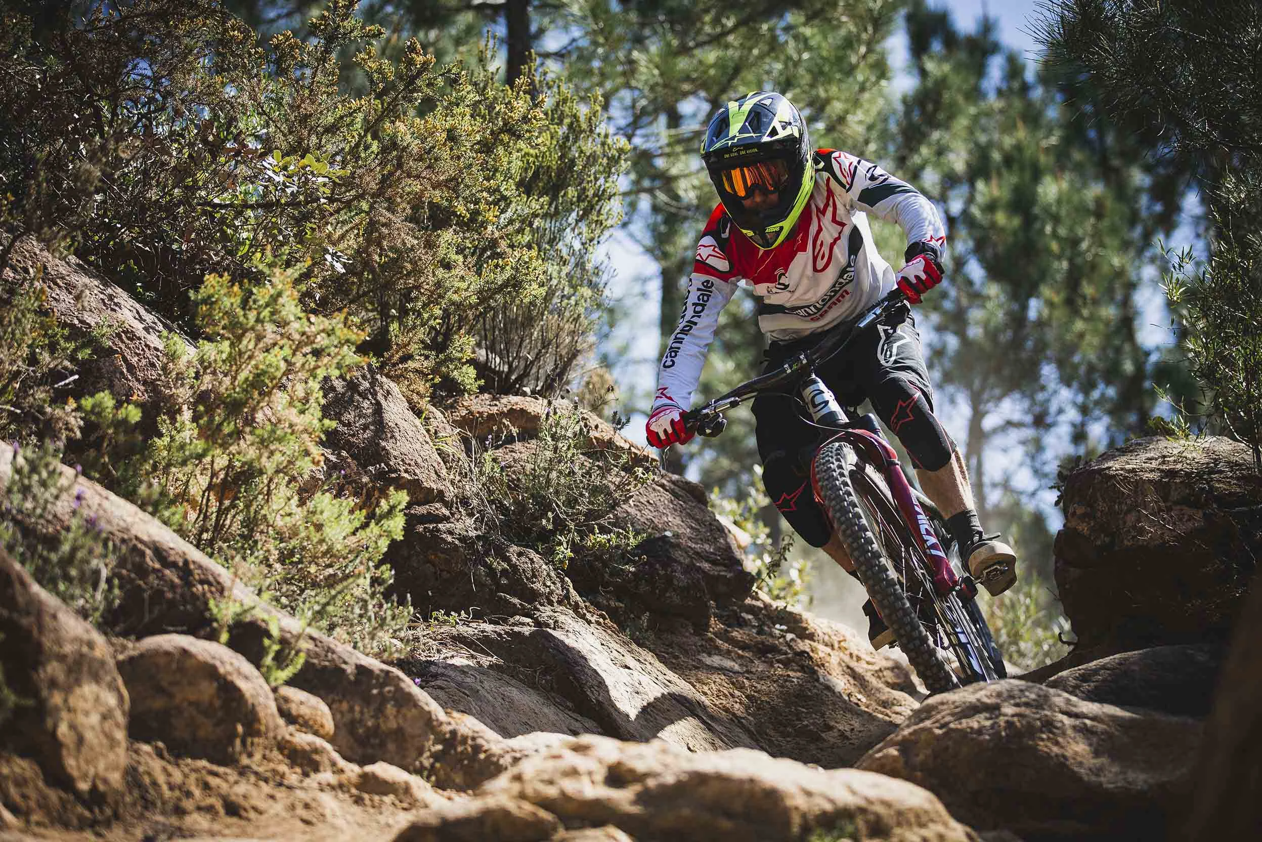 RockShoxZippMY20_DH_H1D7159.jpg