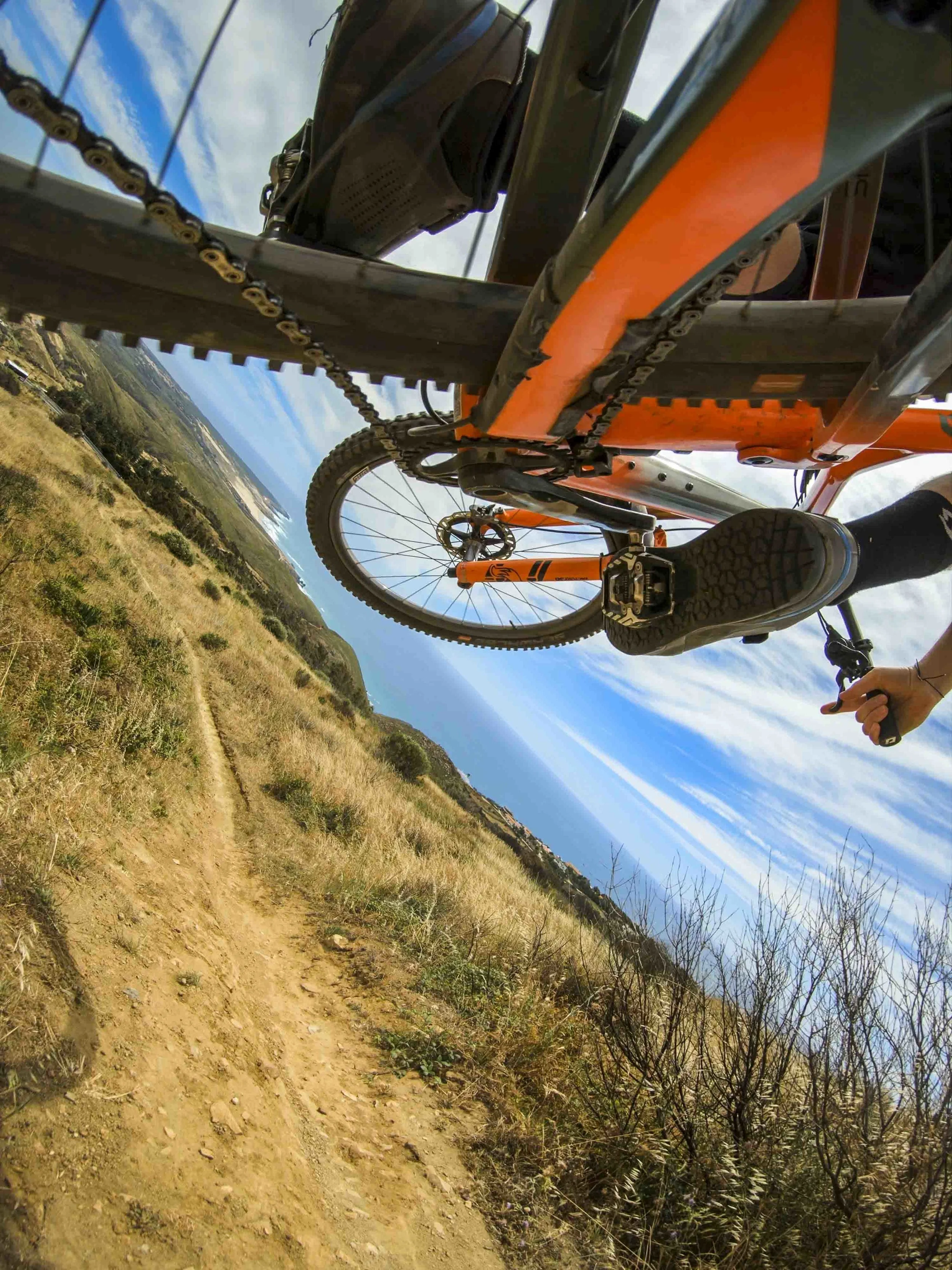 scotty chainstay.JPG