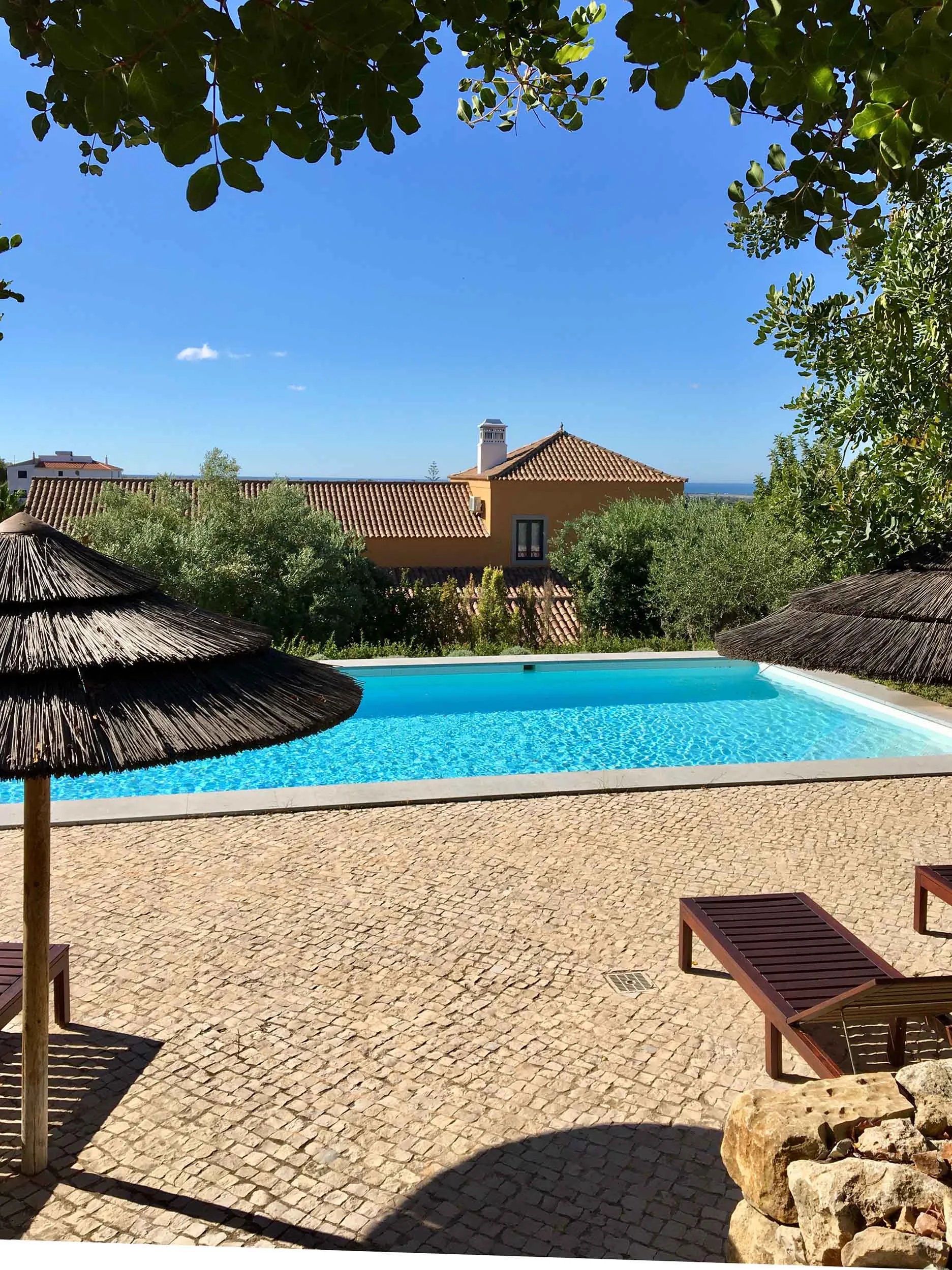 qramarela_pool_48140030682_o_48150231506_o.jpg
