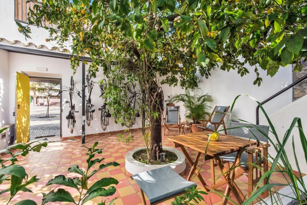 lemon-tree-stay_51952310233_o.jpg