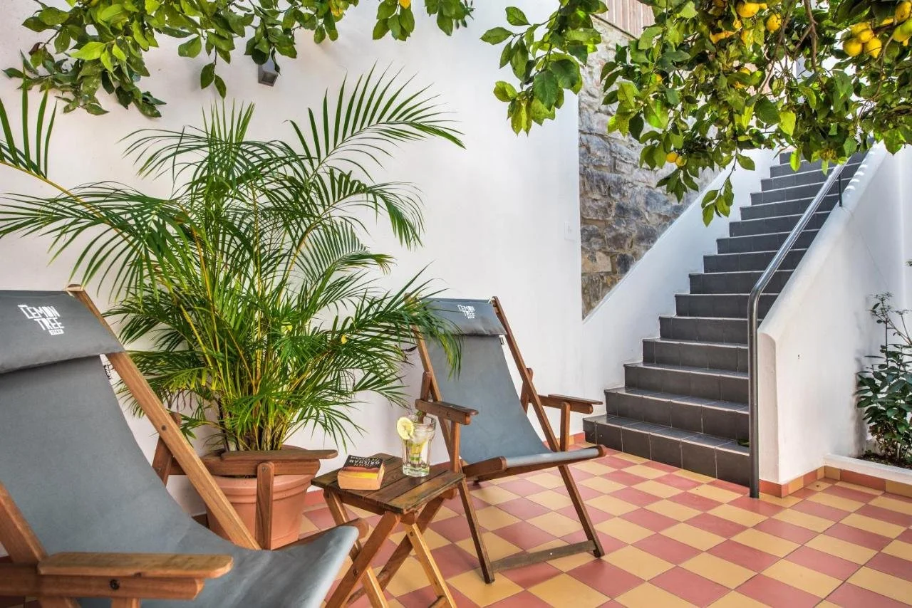 lemon-tree-stay_51952310443_o.jpg