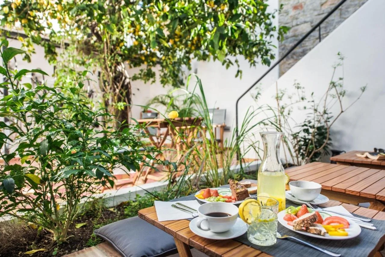 lemon-tree-stay_51952547729_o.jpg