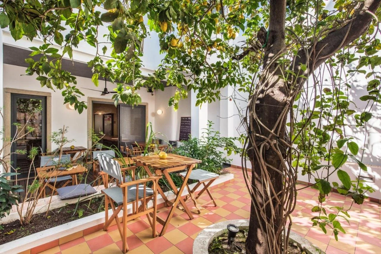 lemon-tree-stay_51952547879_o.jpg