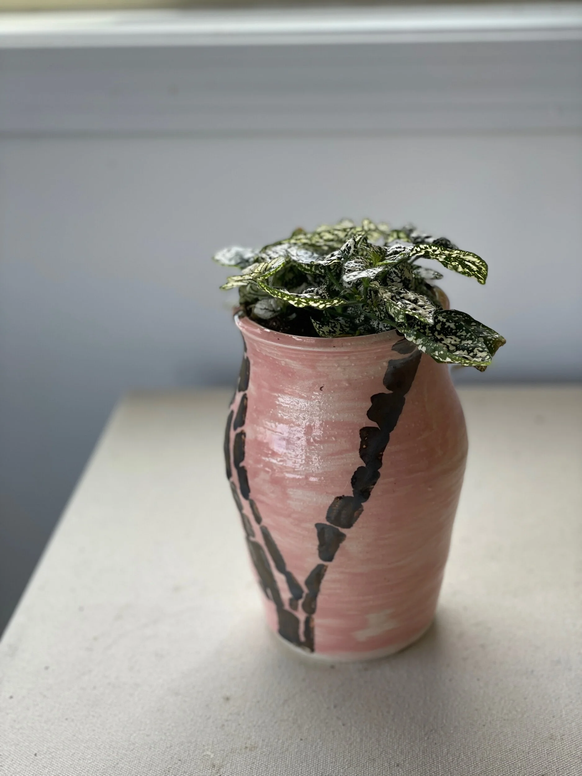 46D9AB5C-74DF-48F8-819D-2E69744BA50F