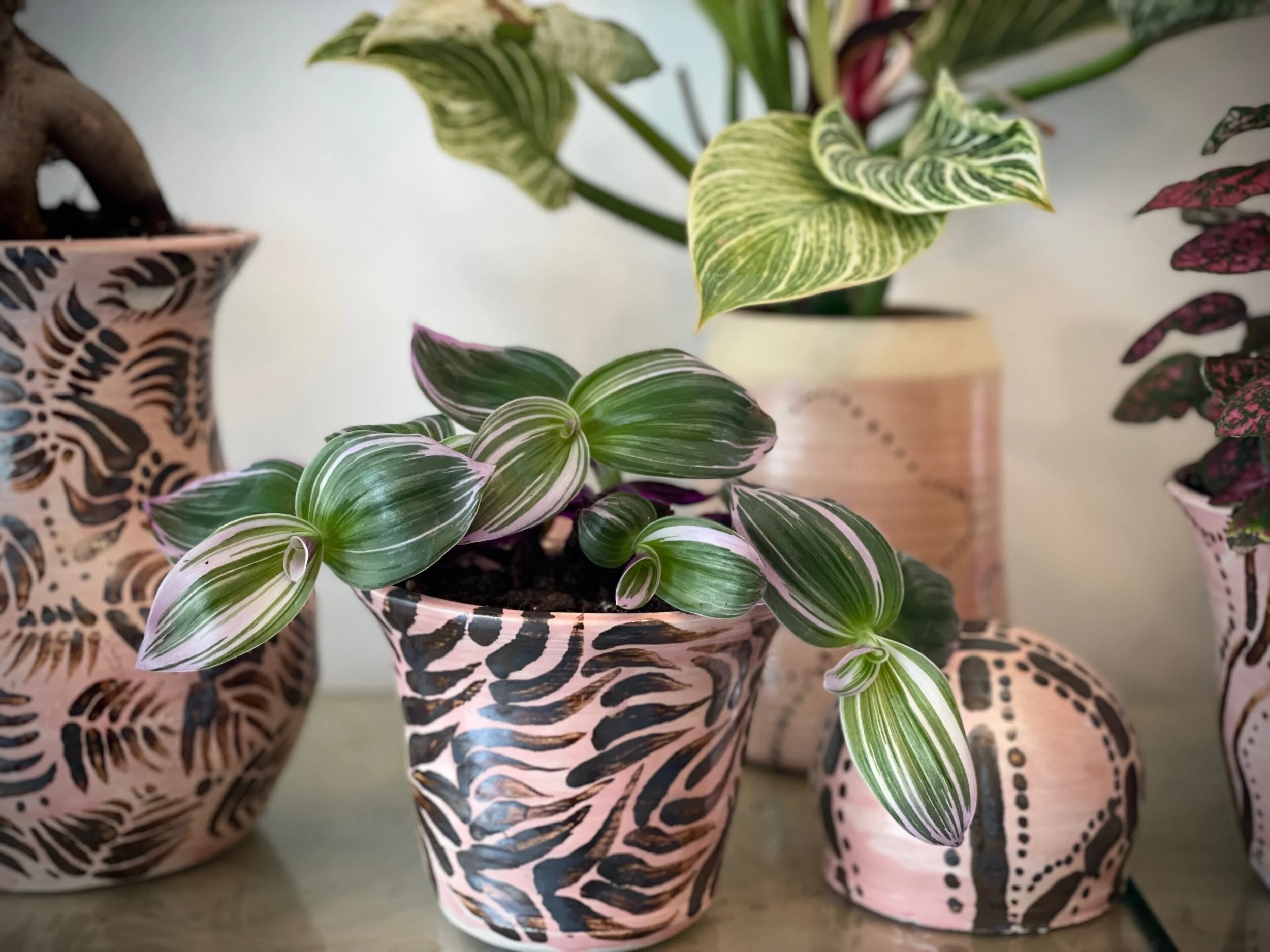 9742B1AF-CB31-4A7C-87EB-C5E761C070FD