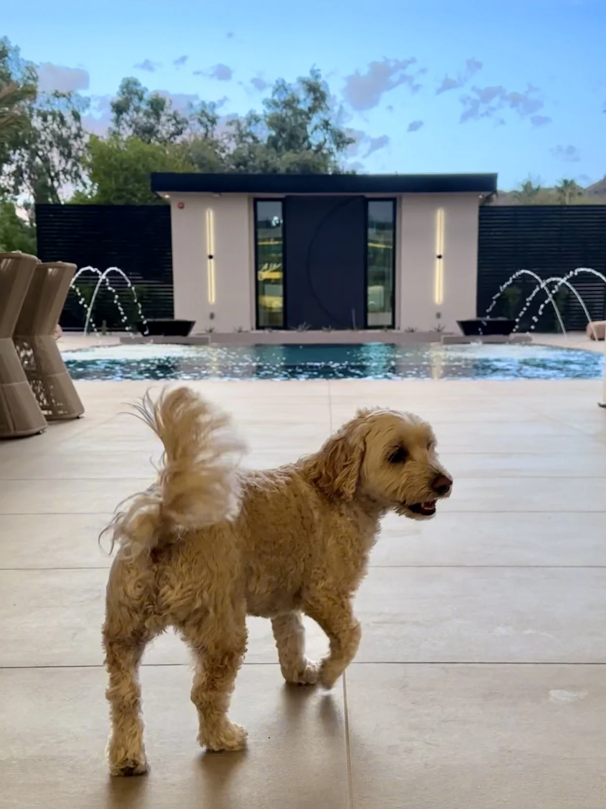  Taken with an iPhone in June 2024 