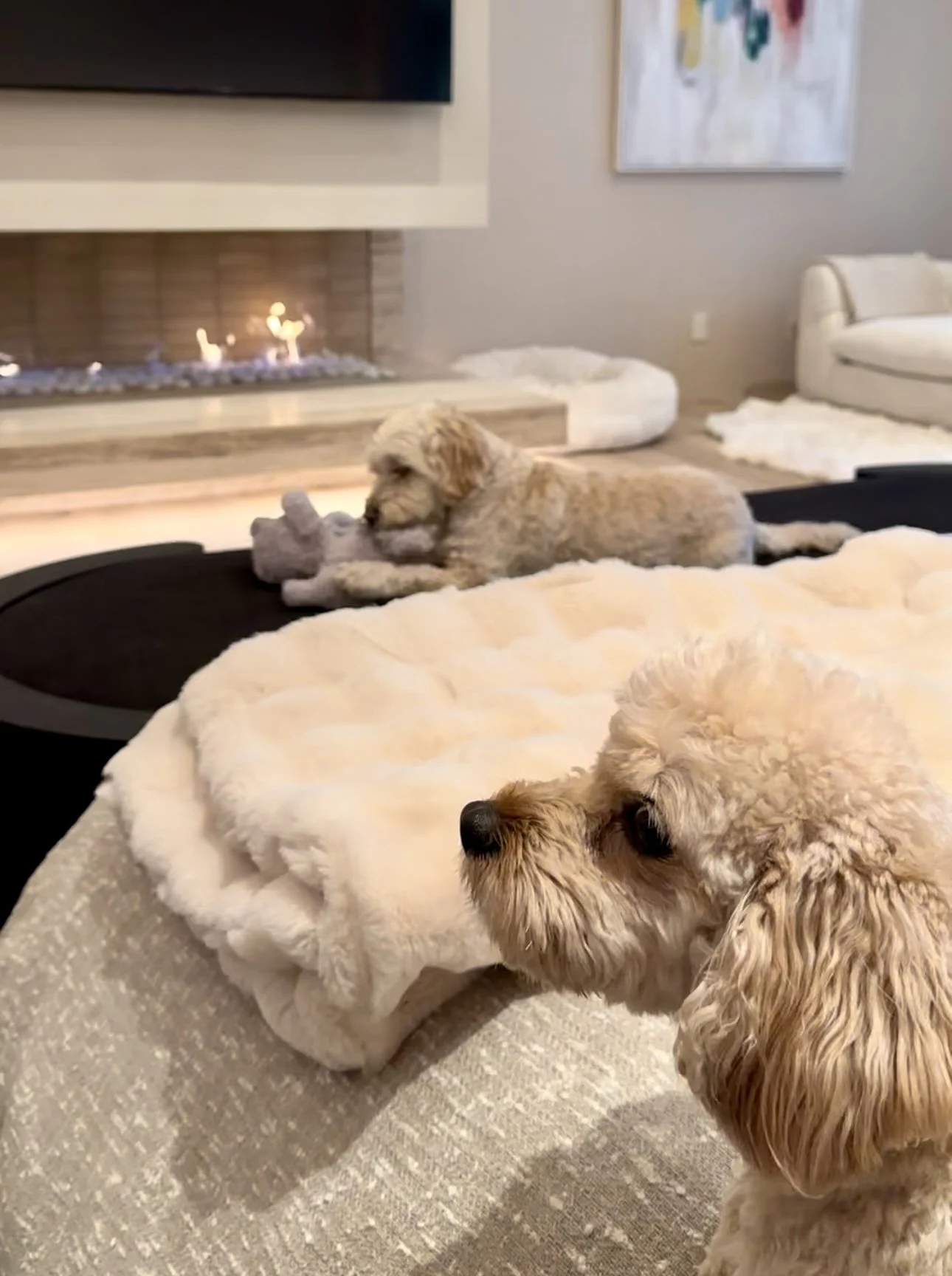  Taken with an iPhone in June 2024 