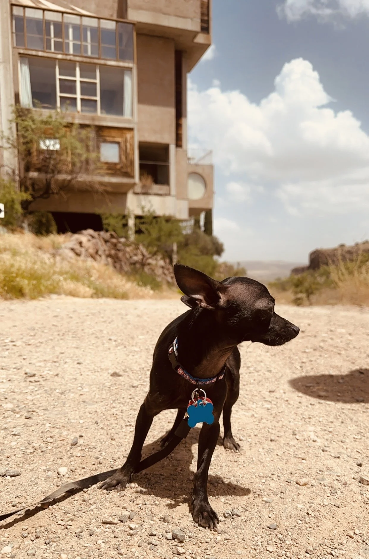  Taken with an iPhone in June 2024 