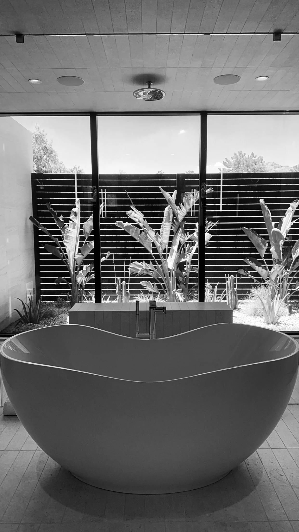  Taken July 3, 2024 with an iPhone. 