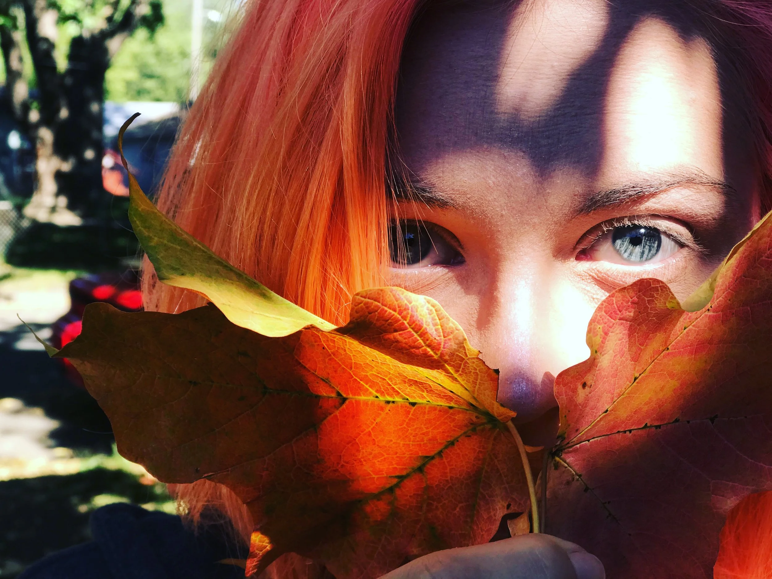 14BDA359-264E-4675-BE3D-AC1EE723E254 copy.JPG