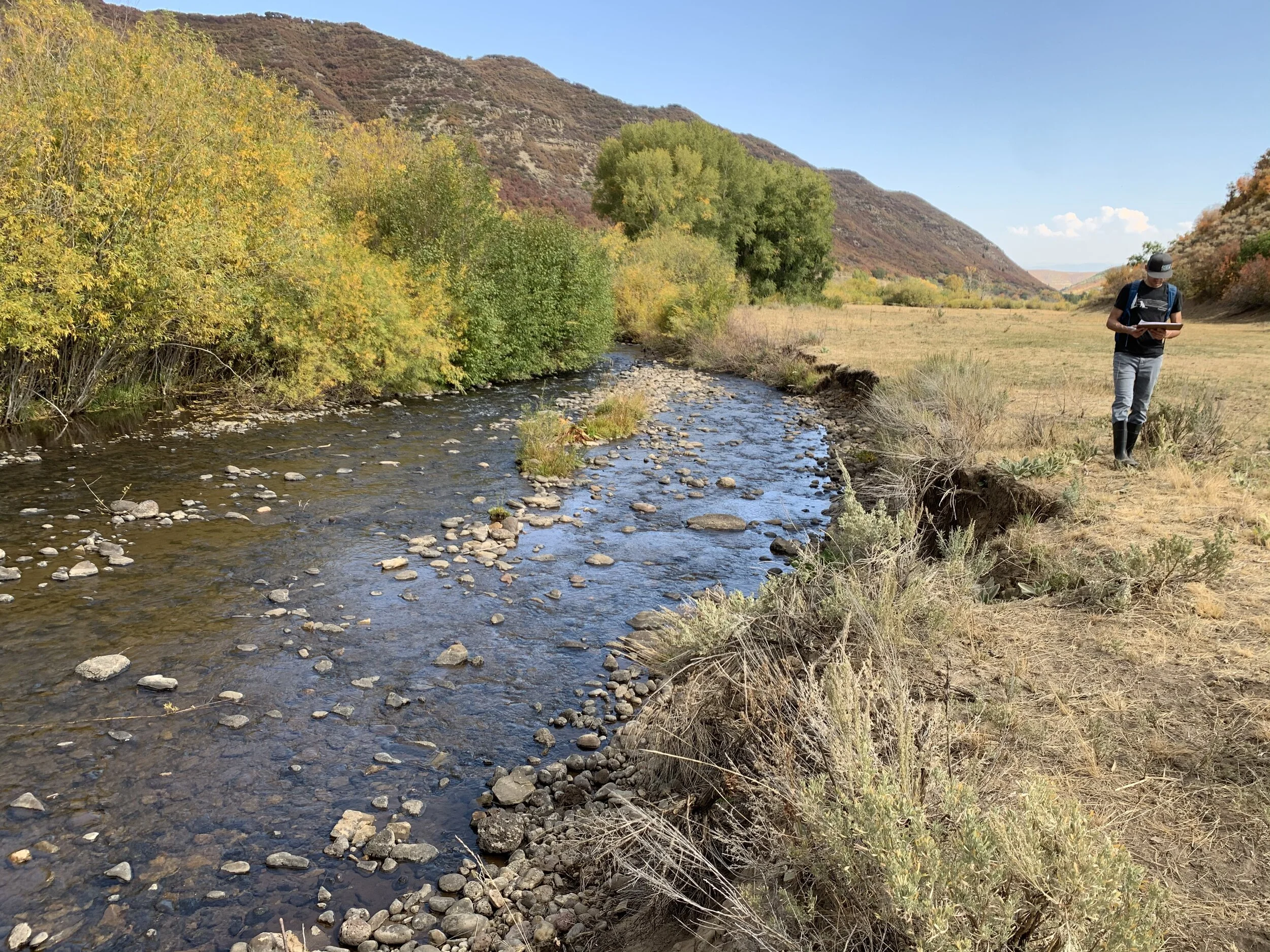 field_work.jpg