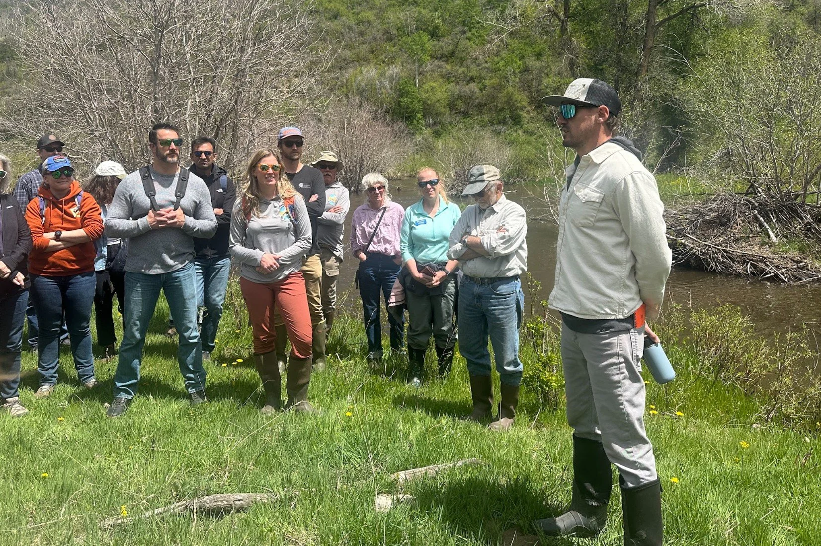 Screenshot 2025-12-17 155854.jpg