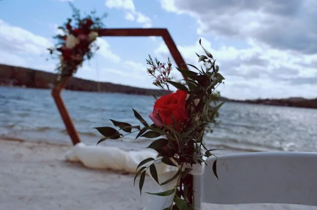 All Best Shots - 83 of 148.jpeg