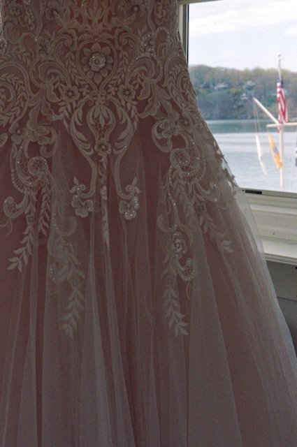 All Best Shots - 1 of 148.jpeg