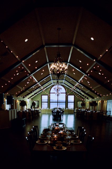 All Best Shots - 111 of 148.jpeg