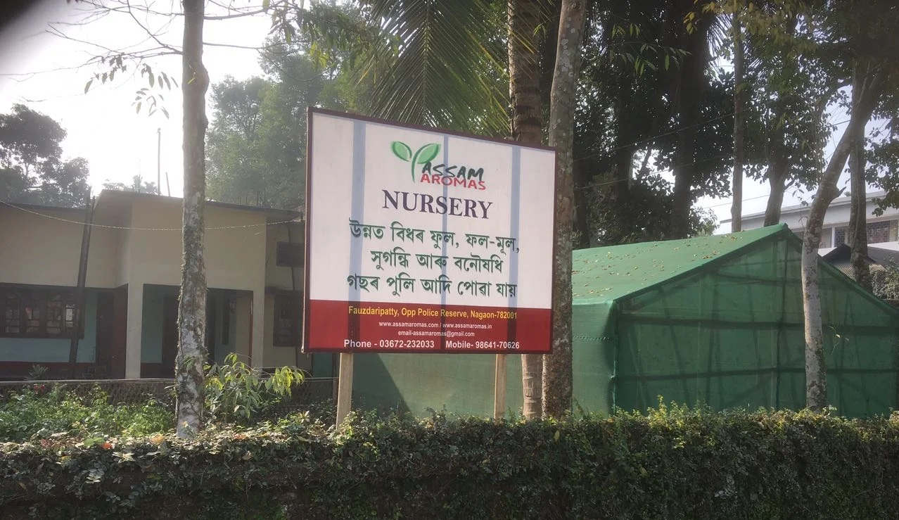 WhatsApp Image 2017-07-08 at 09.38.33.jpeg