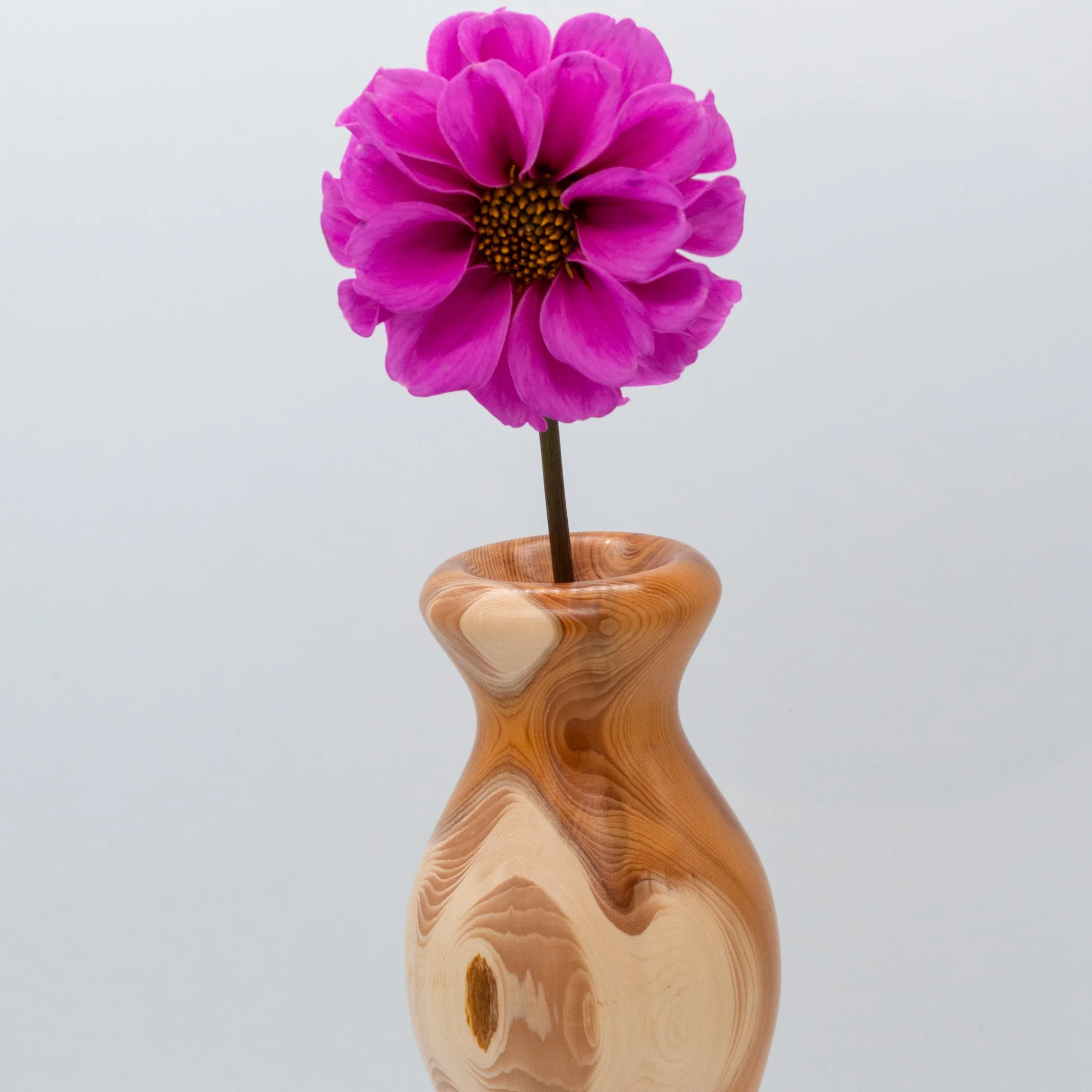 Yew Vase
