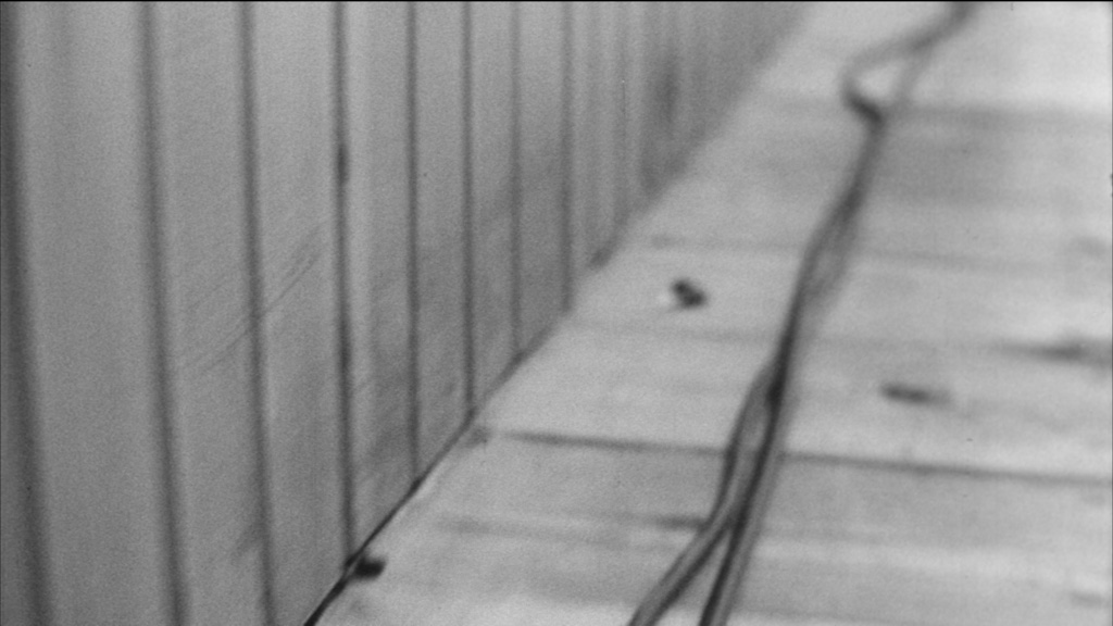 film still