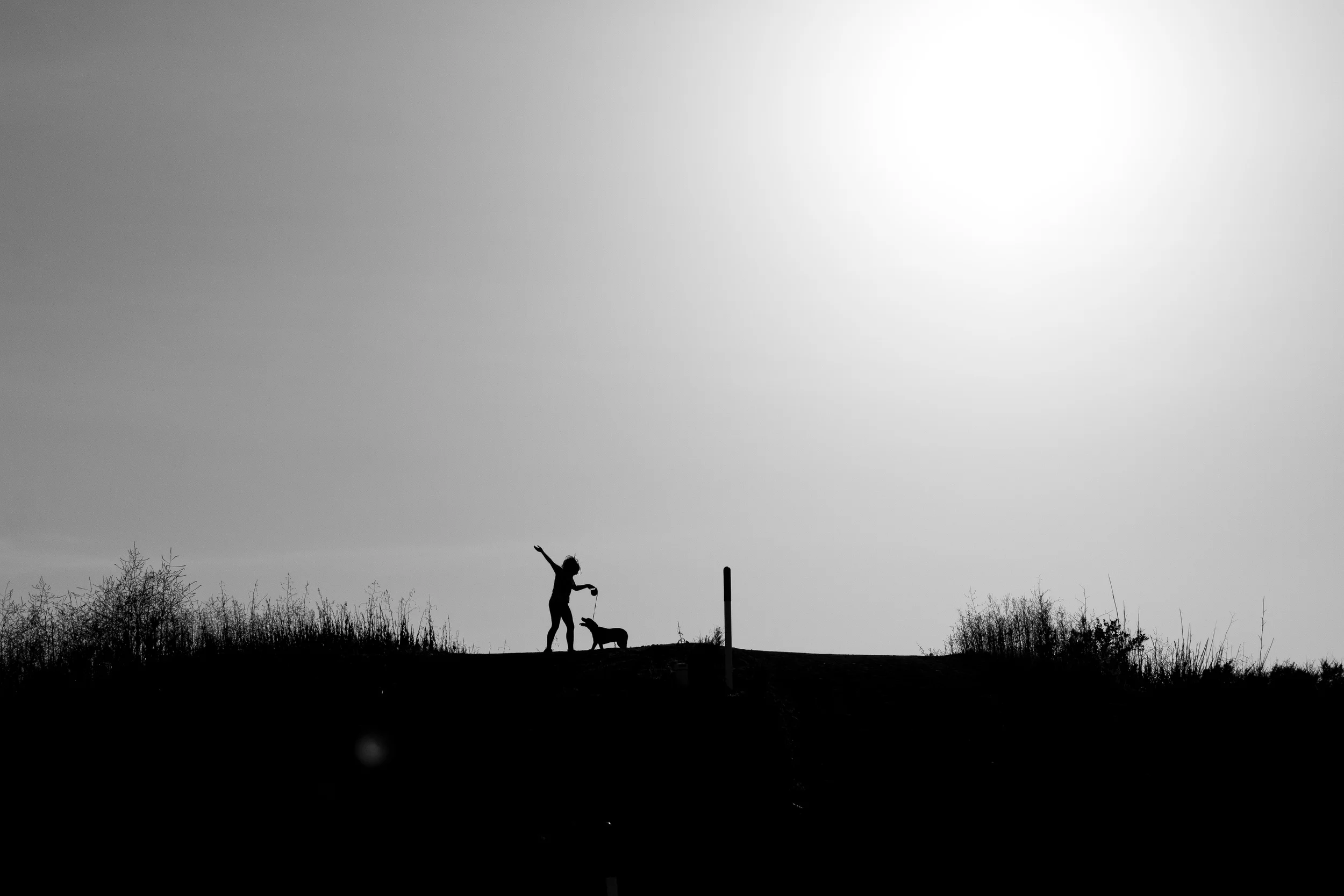 Sunset Hike (5 of 7).jpg