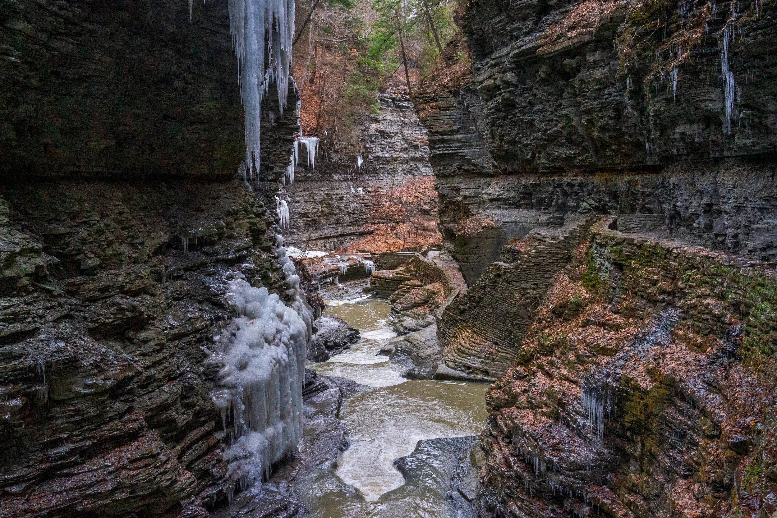 _DSC8272.jpg