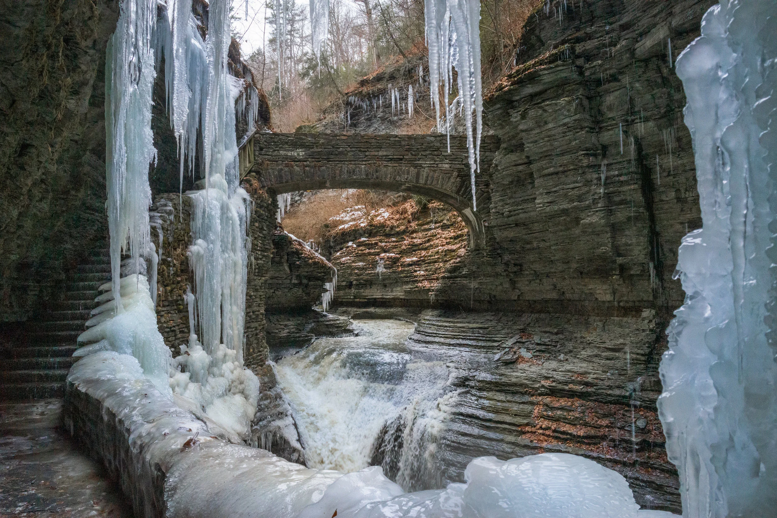_DSC8273.jpg