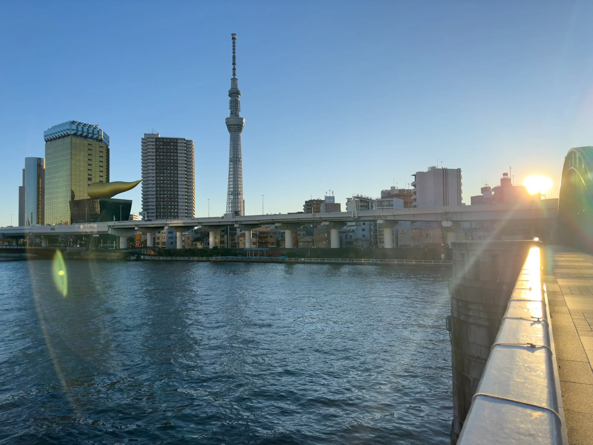 IMG_7389.jpg