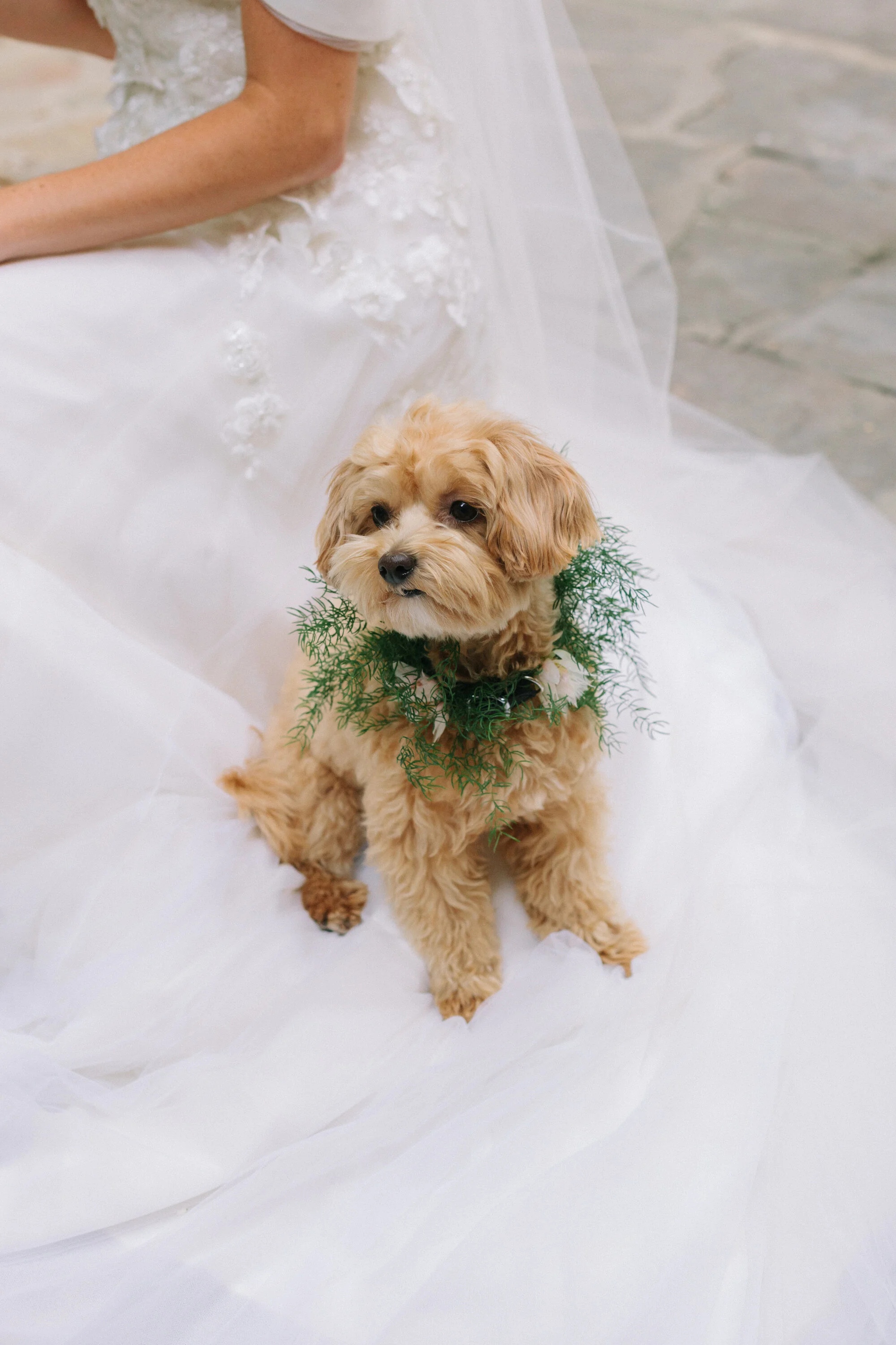 0096_GreerGattuso copy.JPG