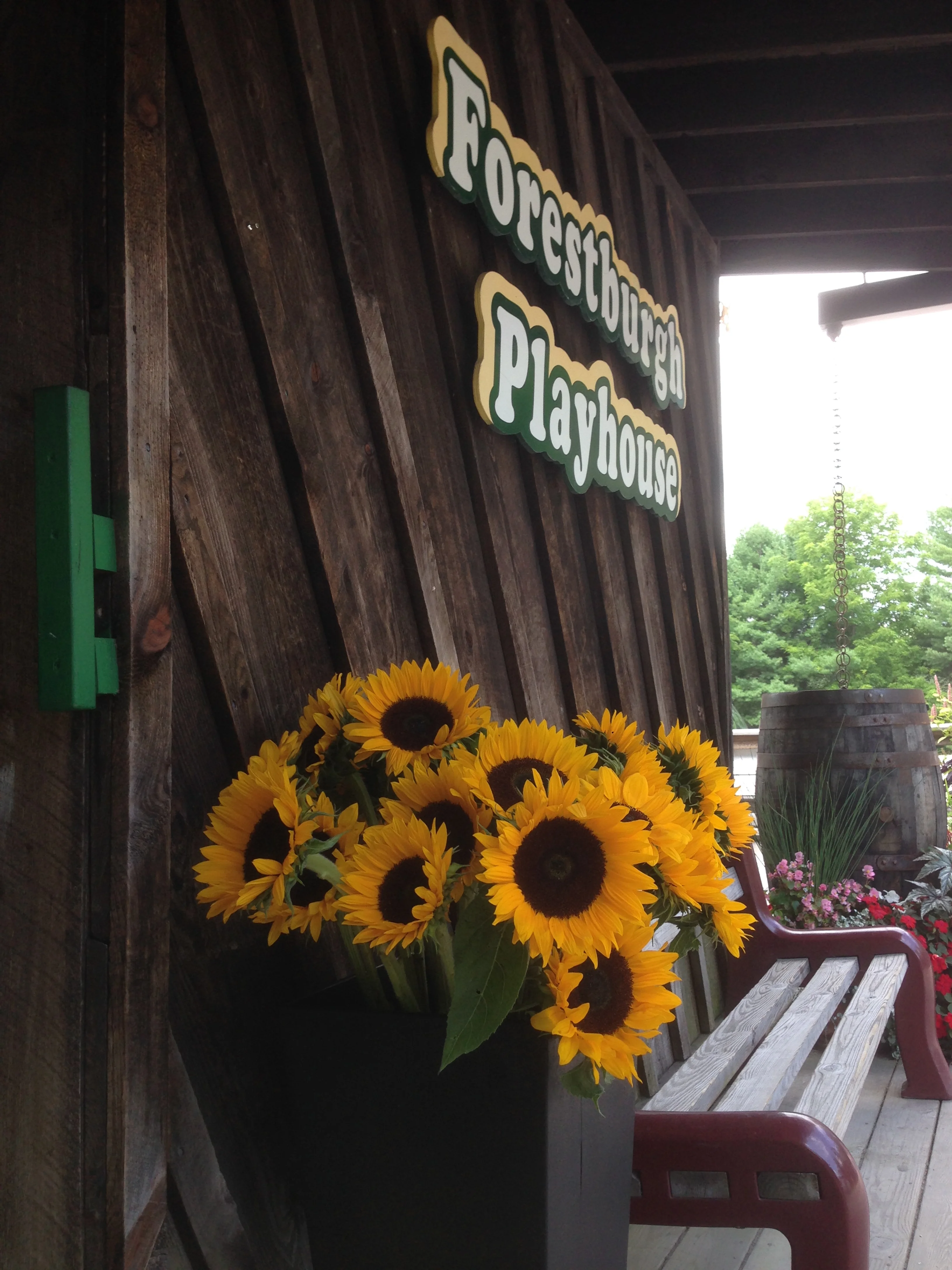 Donate to the Forestburgh Playhouse