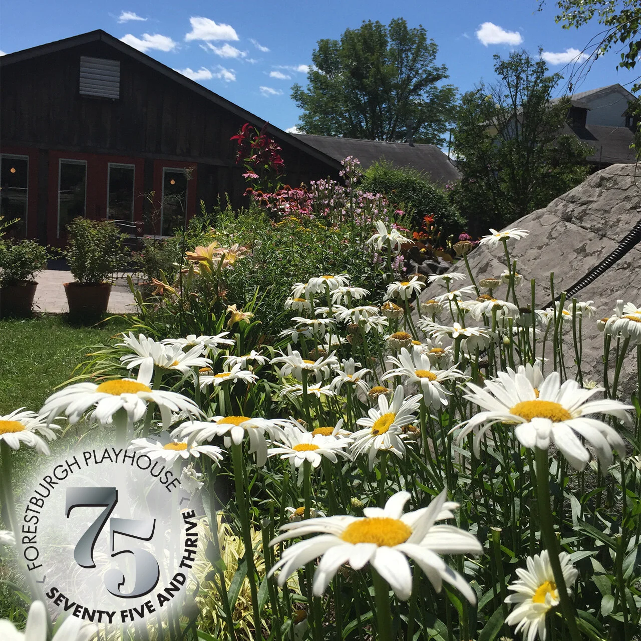 75 and Thrive Fundraiser 