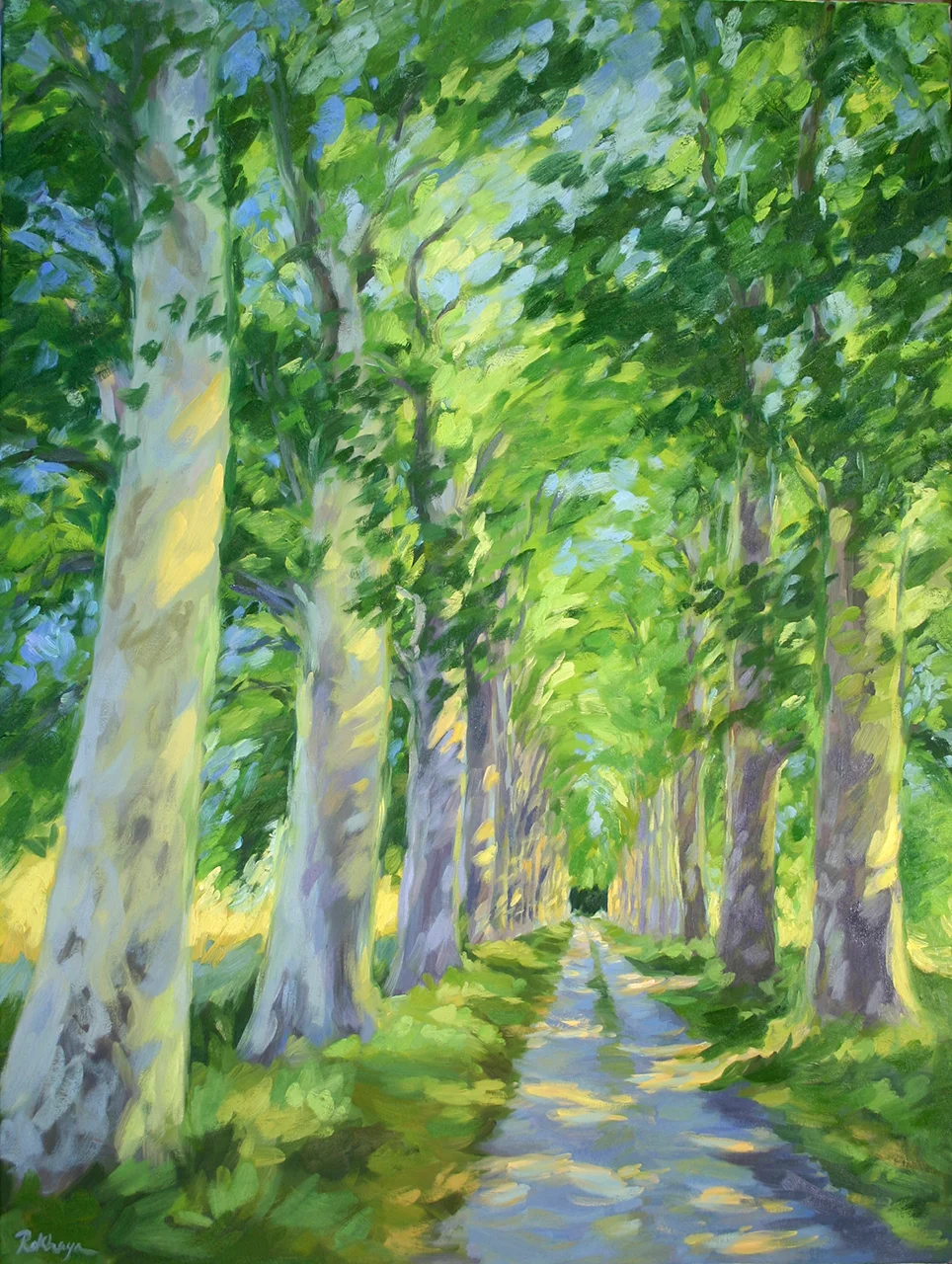 Provence Sycamores