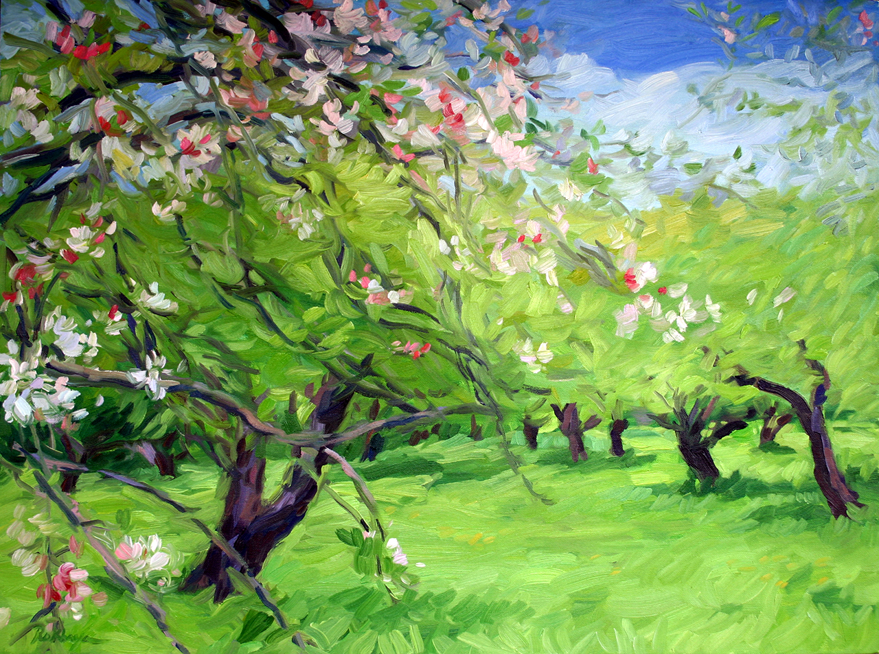 Apple Orchard in Bloom