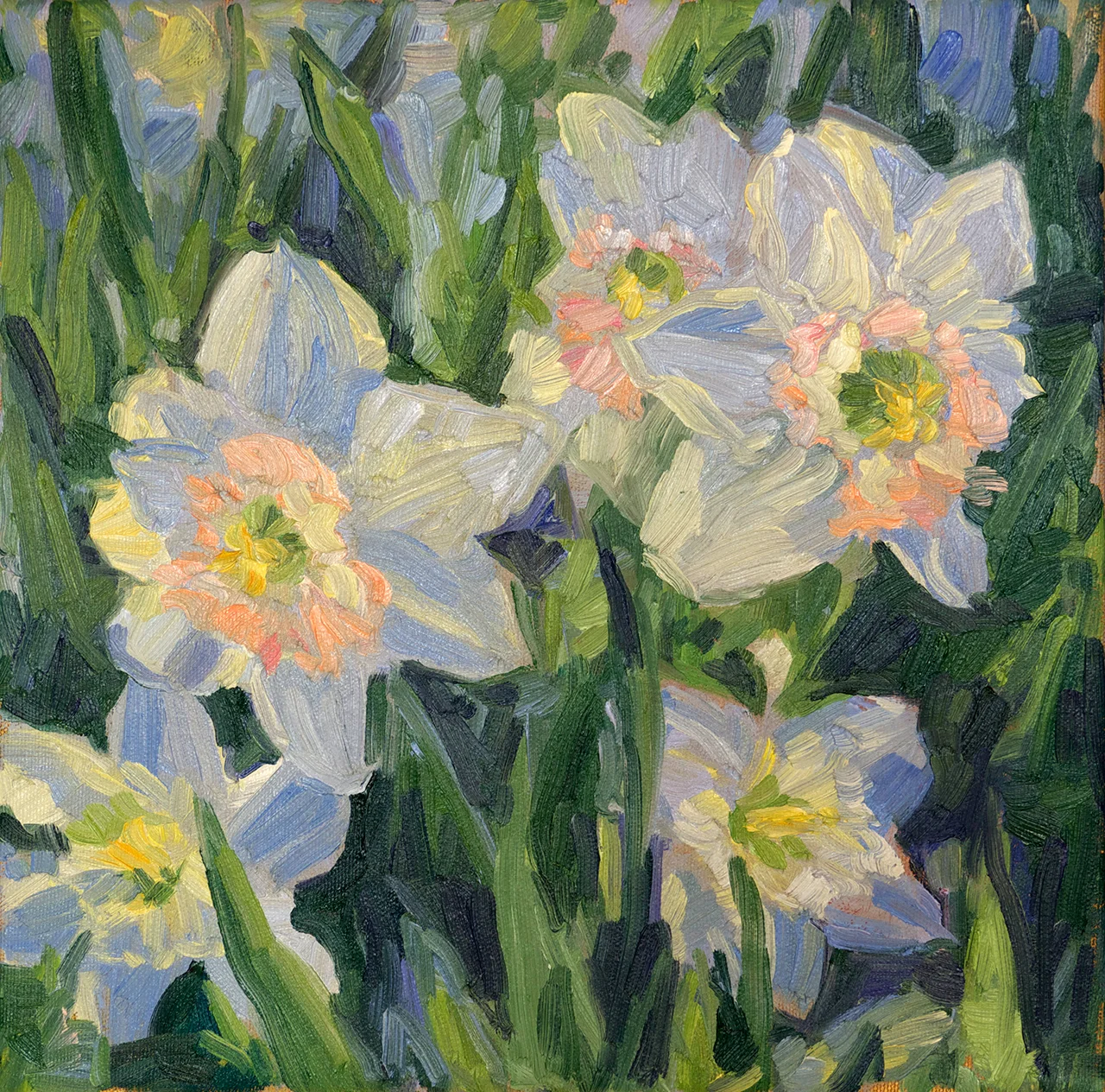 Daffodils
