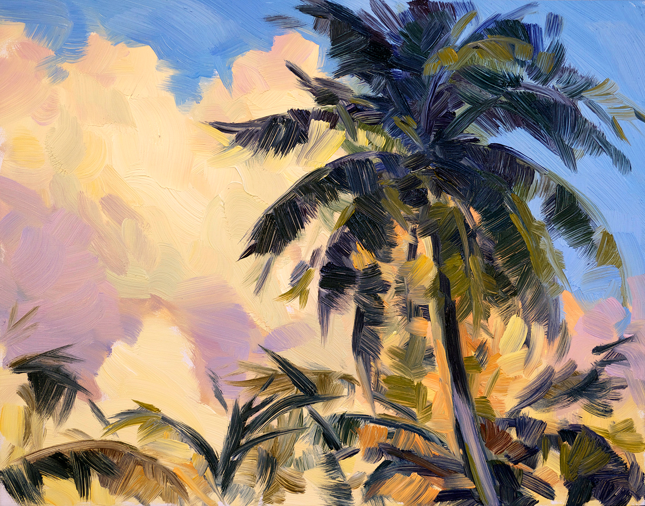 Sunset Clouds with Palms