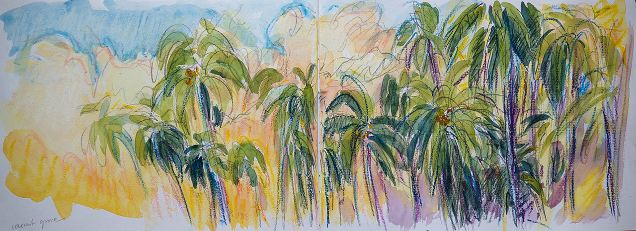 Coconut Palms