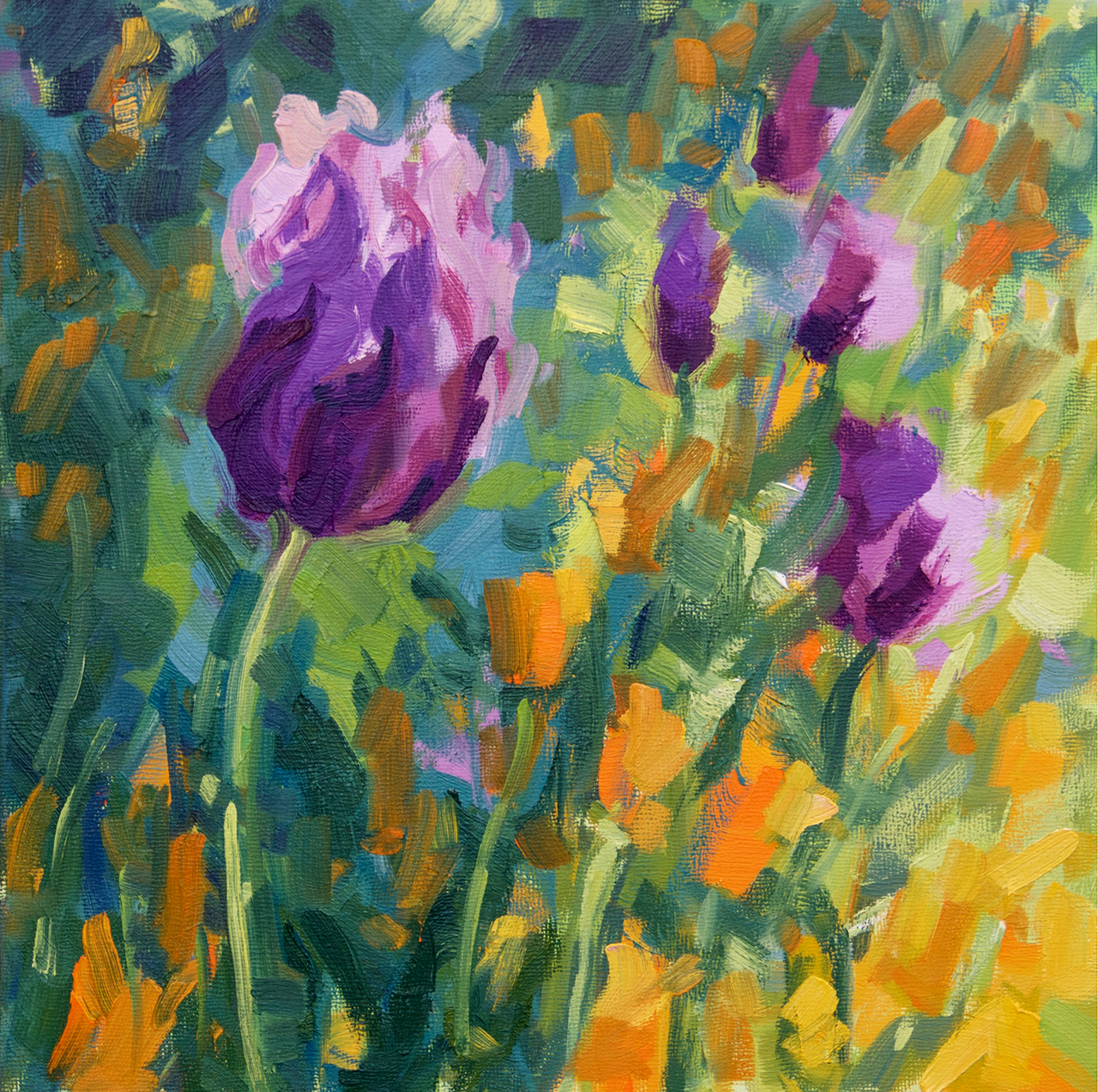 Purple & Orange Poppies