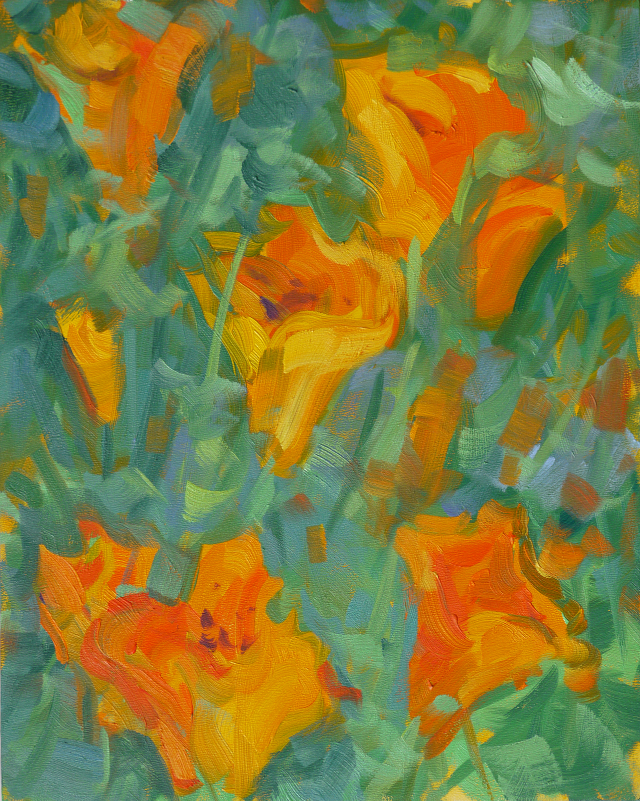 California Poppies (#2)