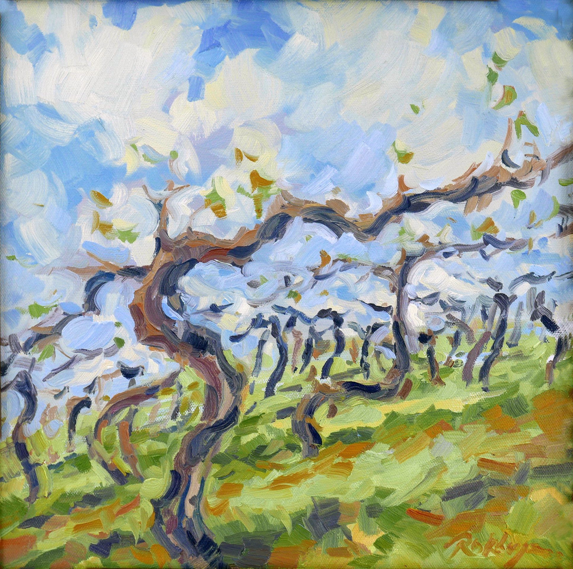 Spring Grapevines