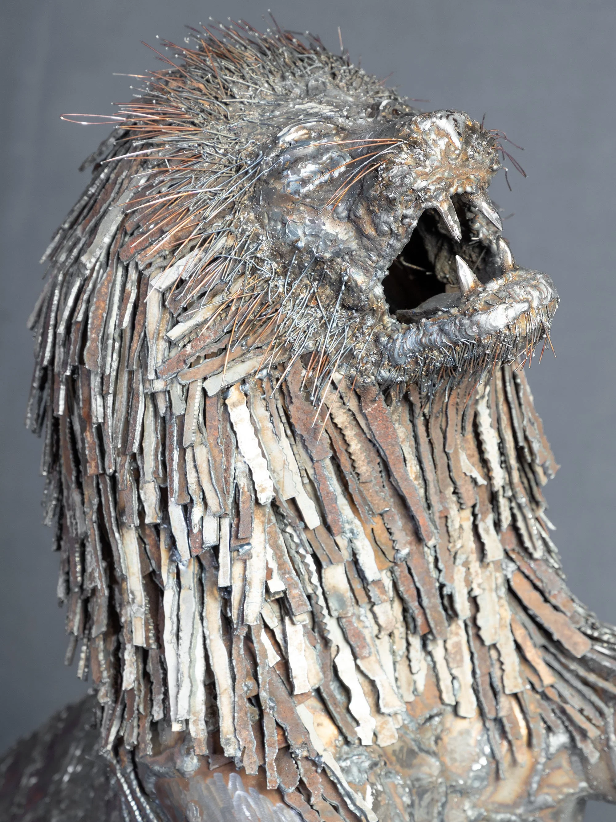B48A7083LION.jpg
