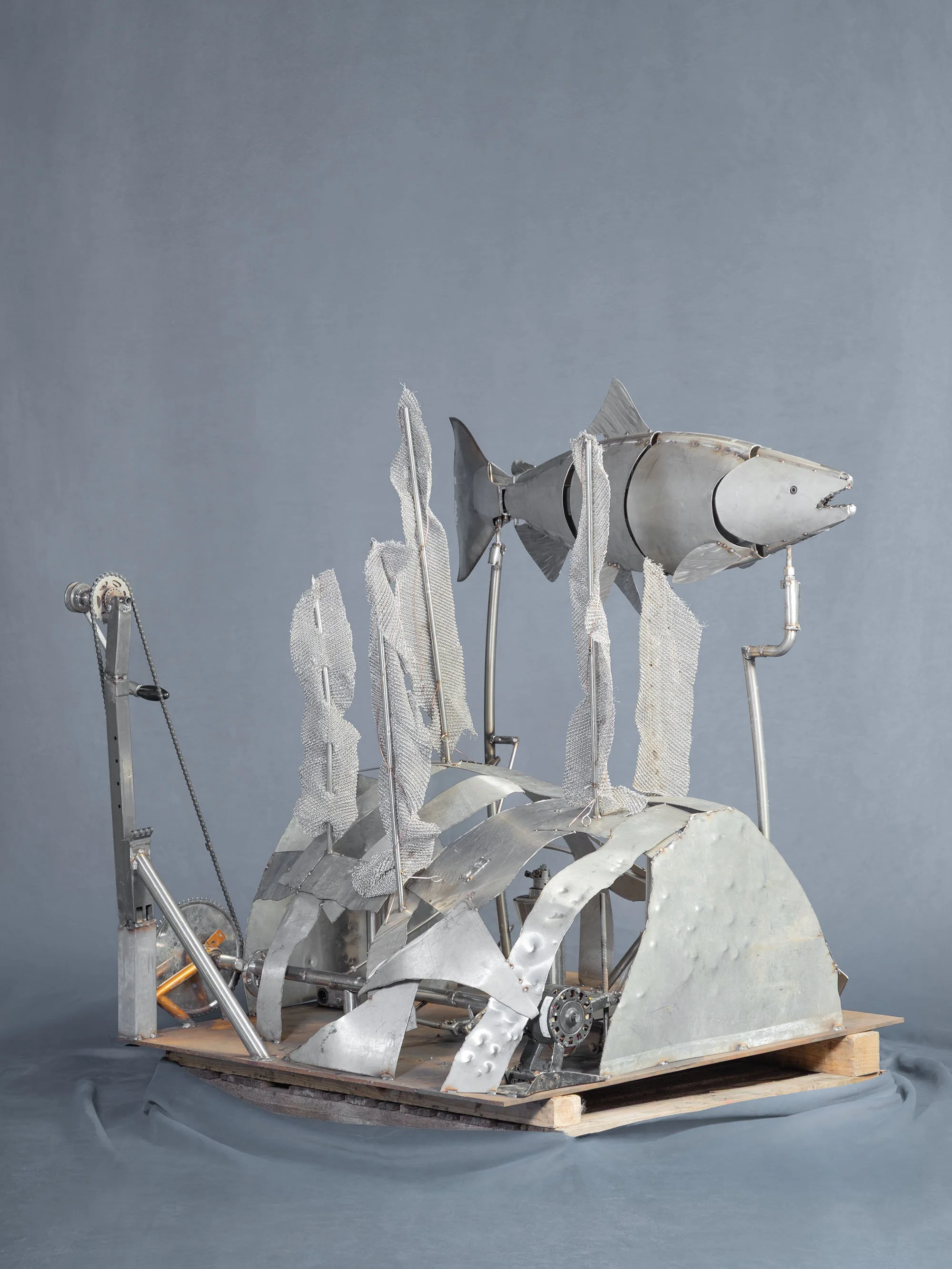 B48A7130FISH.jpg