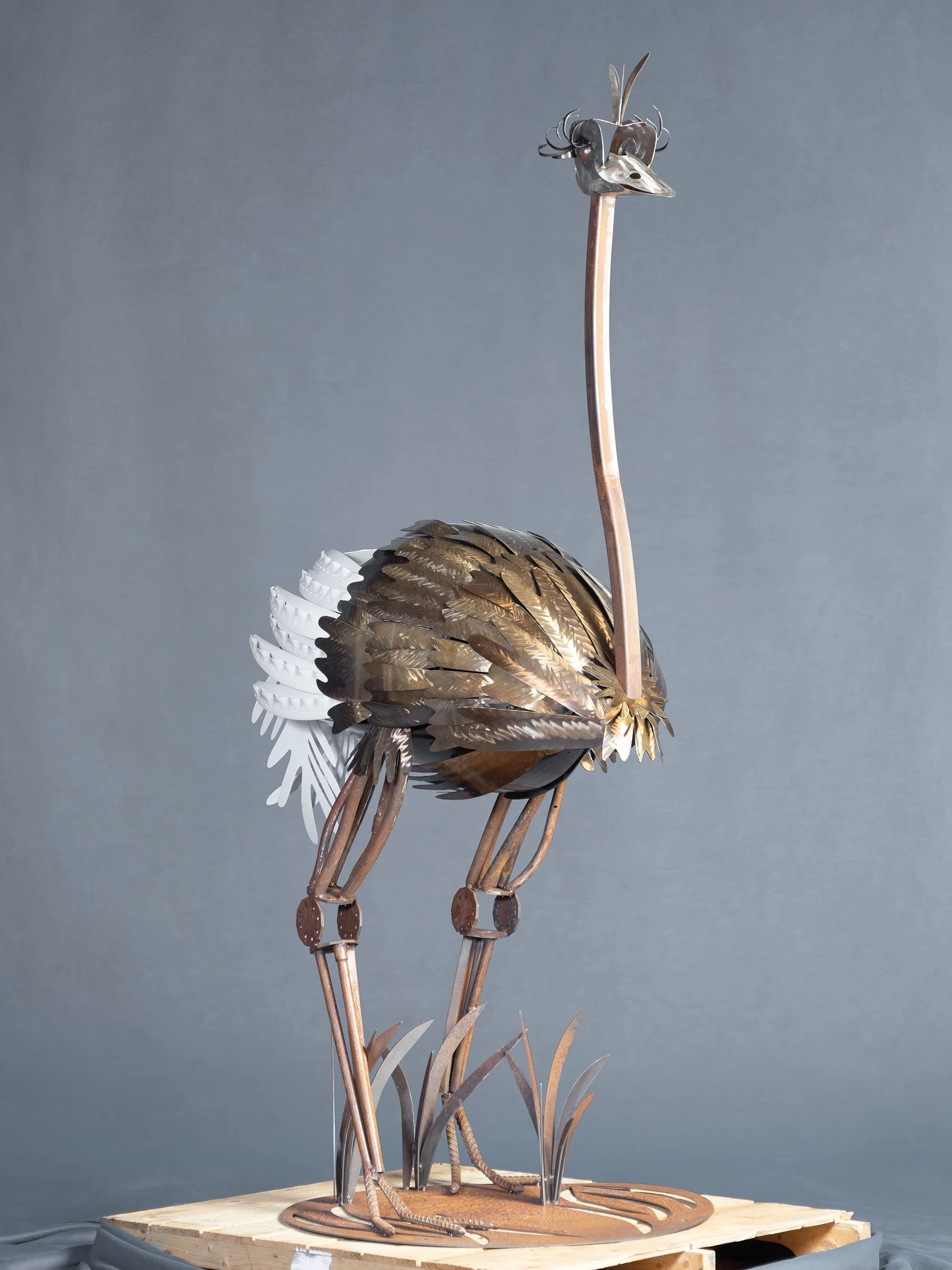 B48A7152OSTRICH.jpg