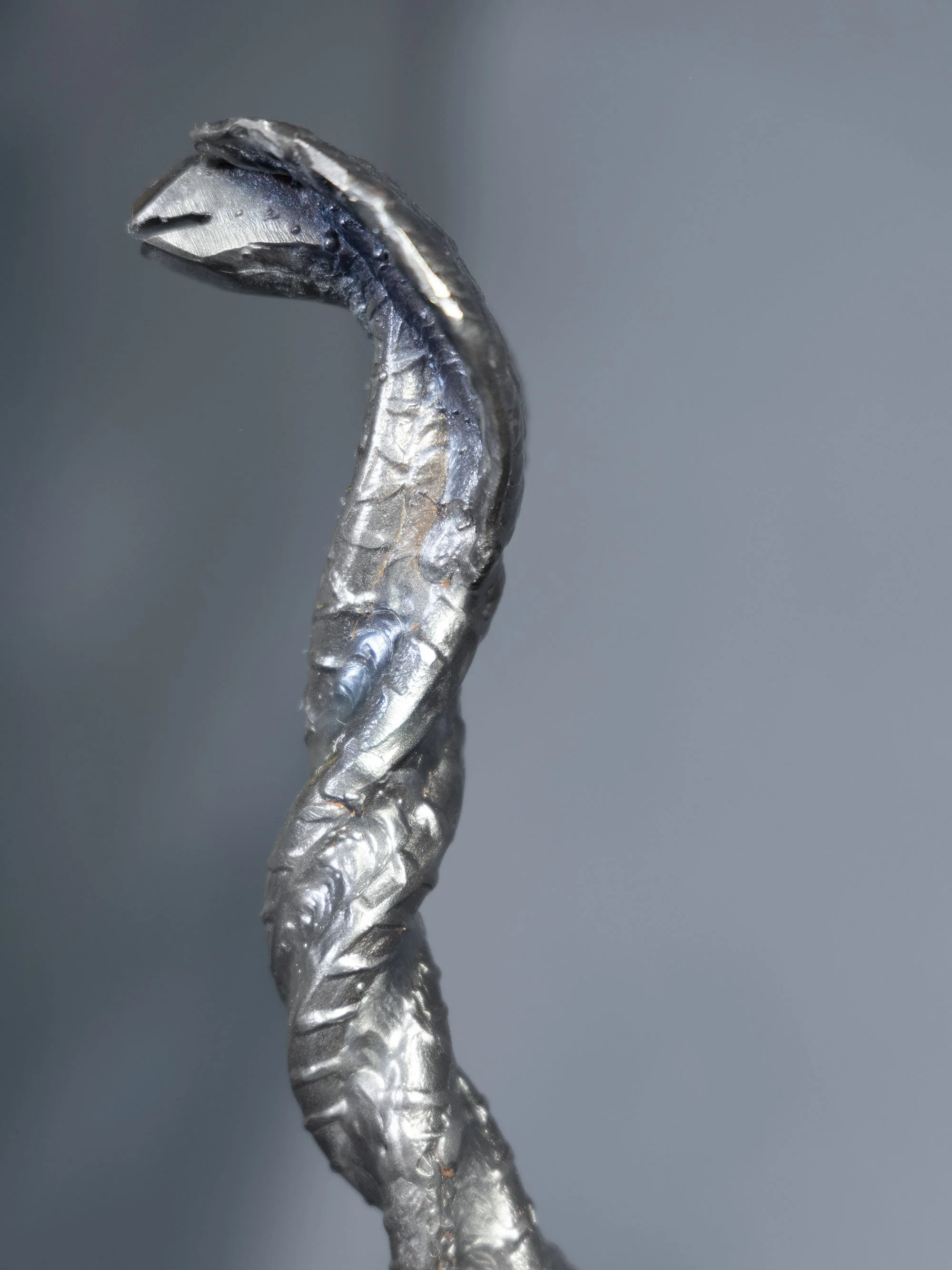 B48A7298COBRA.jpg