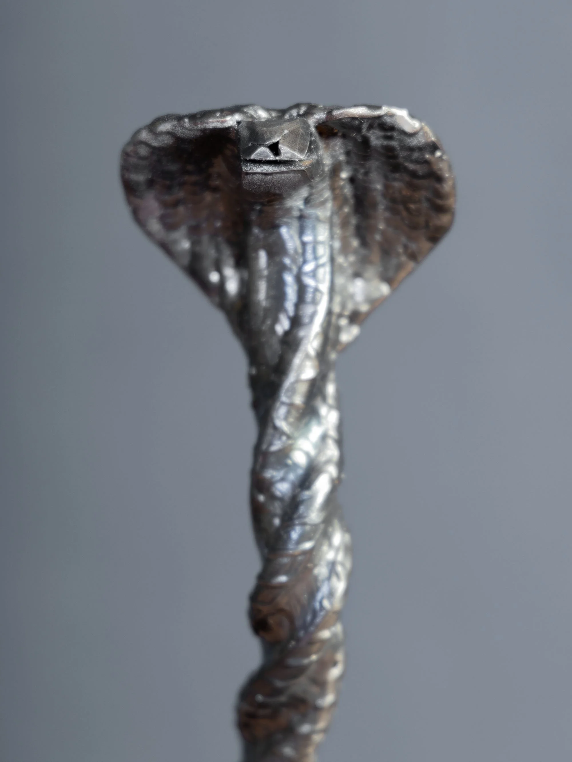 B48A7299COBRA.jpg
