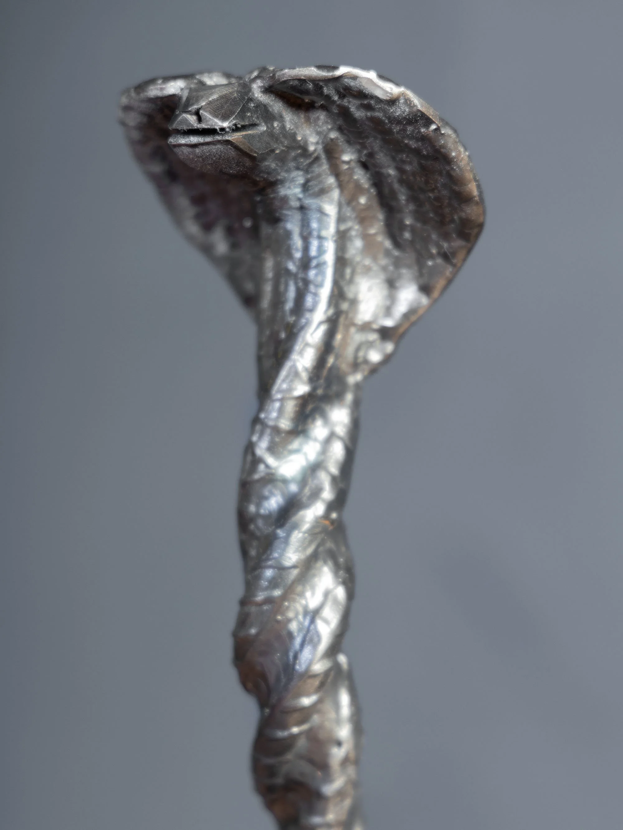 B48A7300COBRA.jpg
