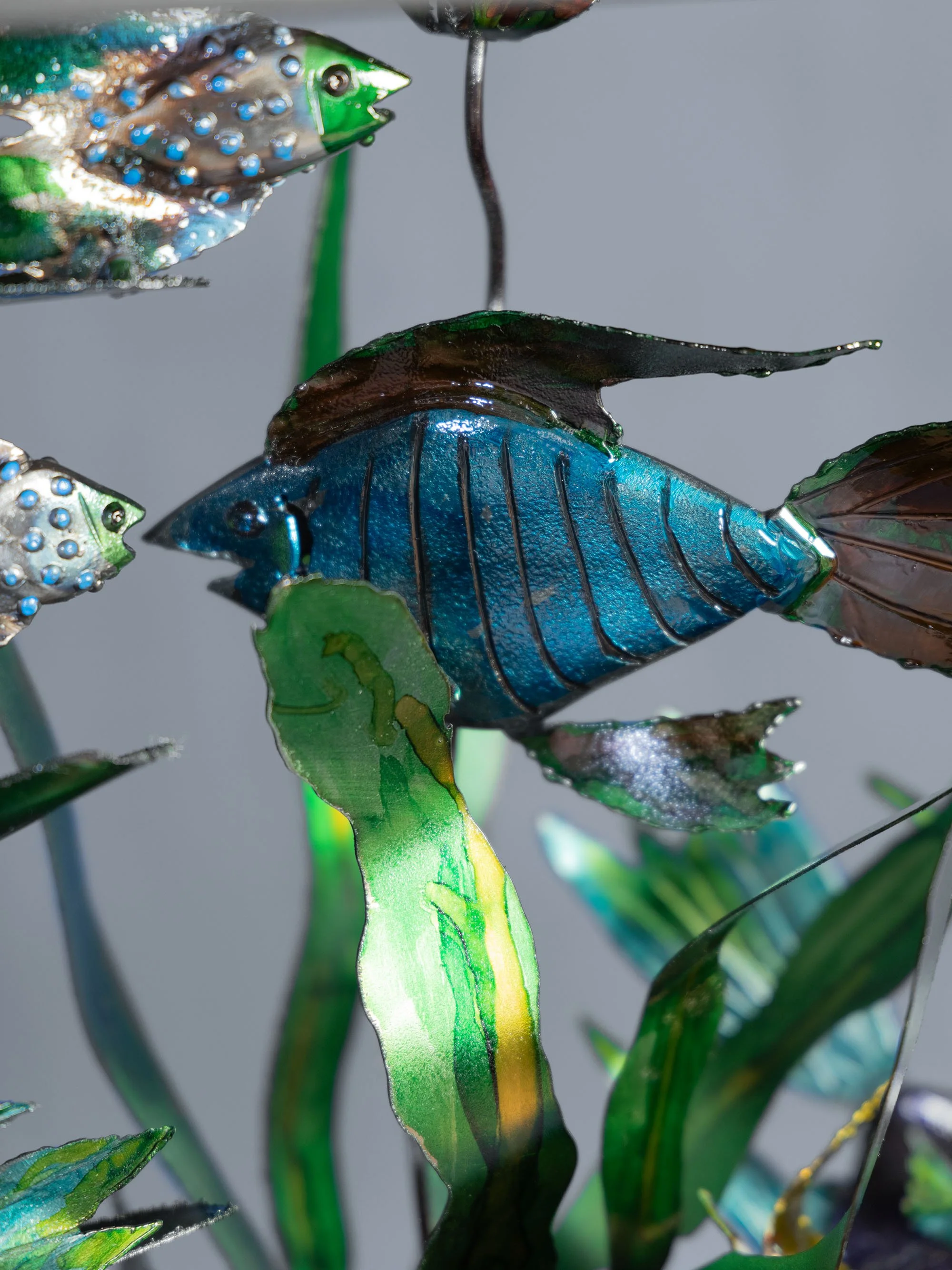 B48A7320AQUARIUM.jpg