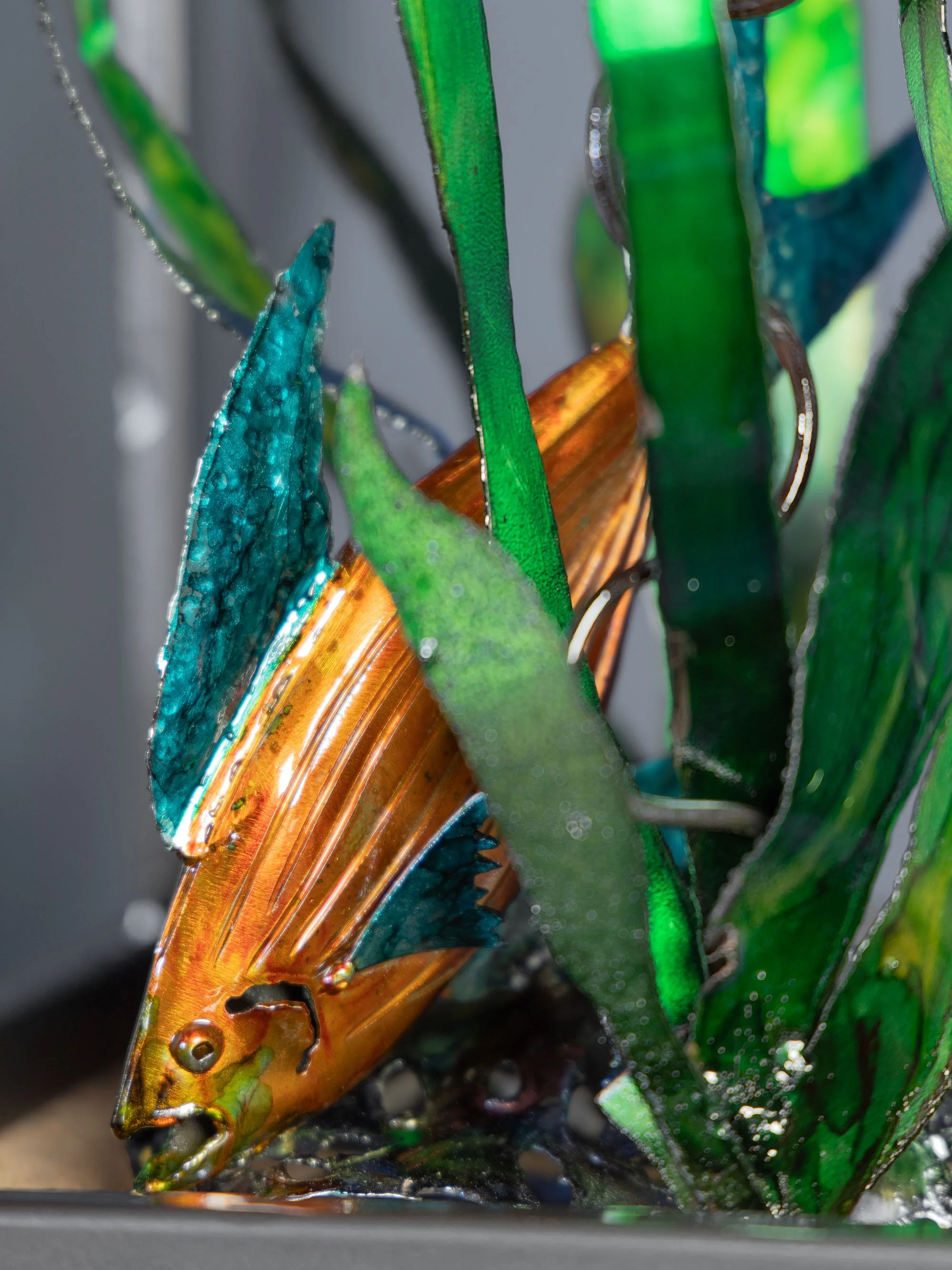 B48A7323AQUARIUM.jpg