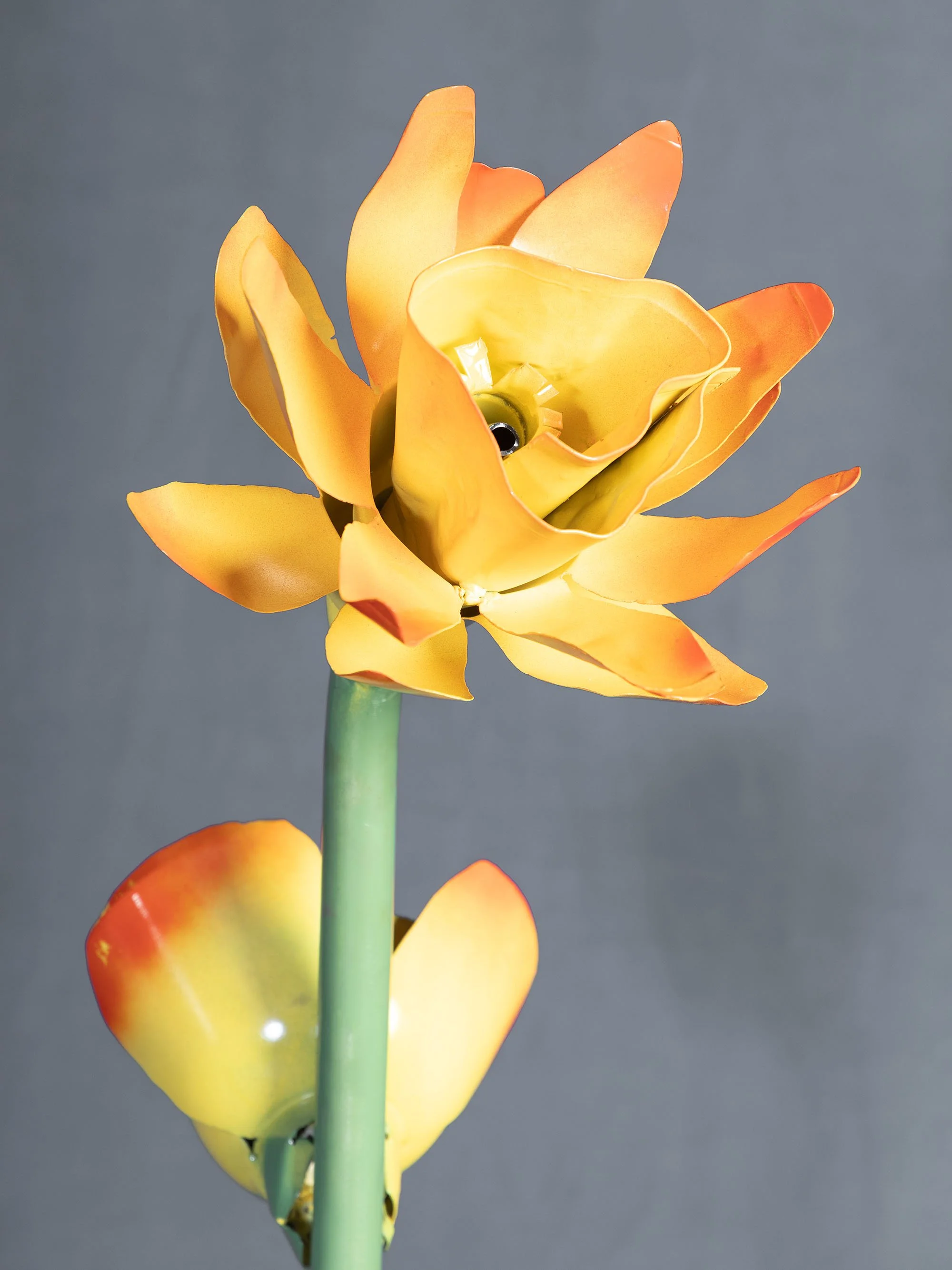 B48A7466FLOWERPOT.jpg